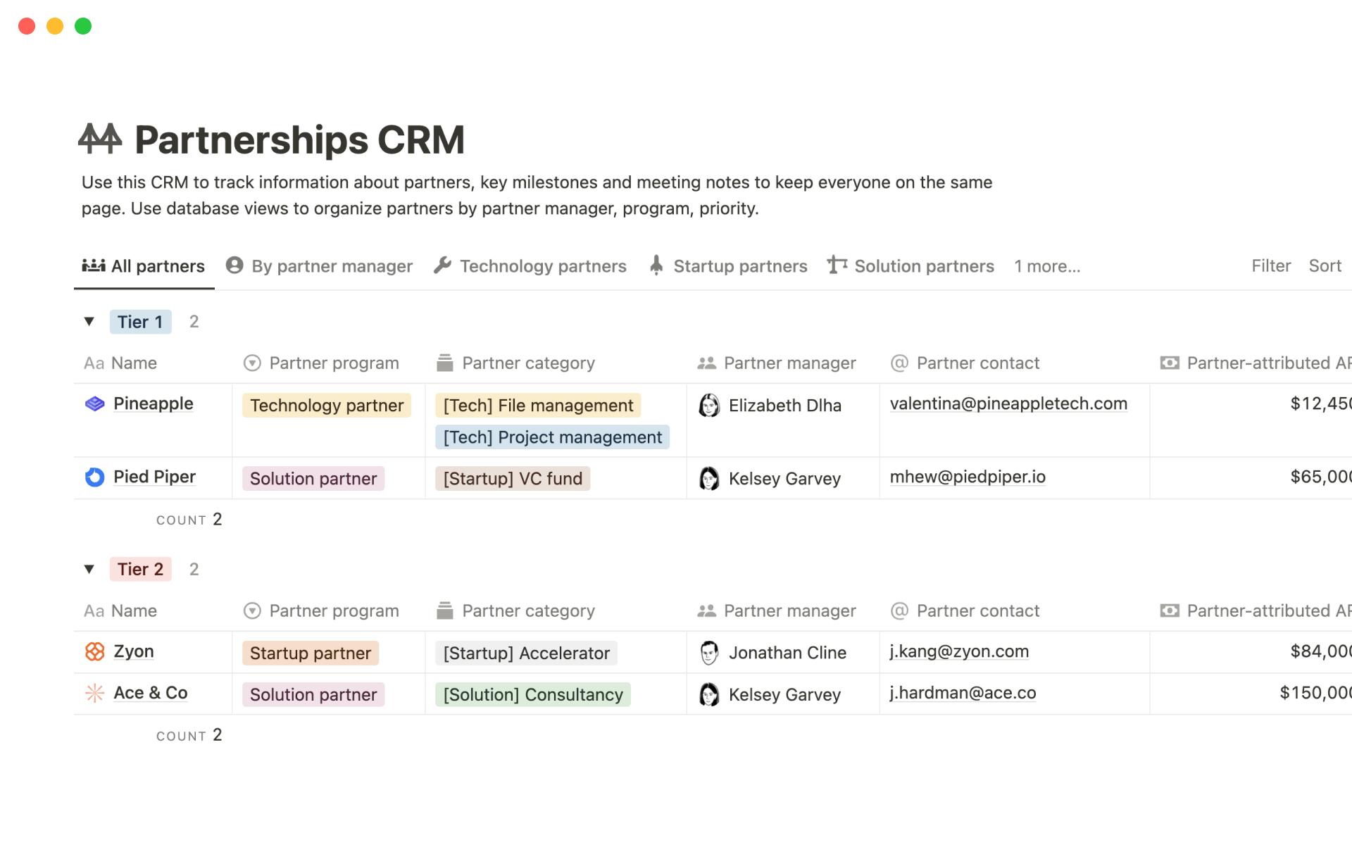 CRM-Vorlage für Partnerschaften