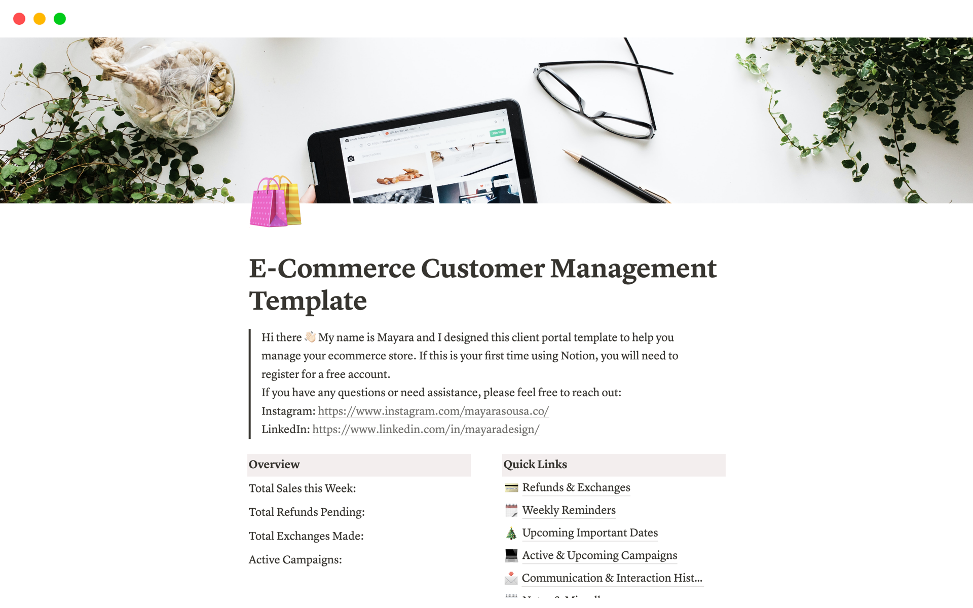 Running an e-commerce store solo? This Notion template was crafted for e-commerce store owners who love having everything organized and easily accessible.