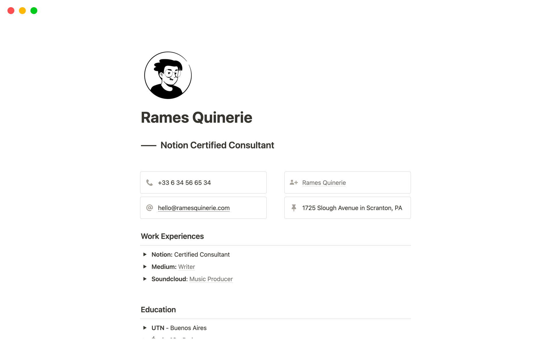 A template preview for Online Resume / CV