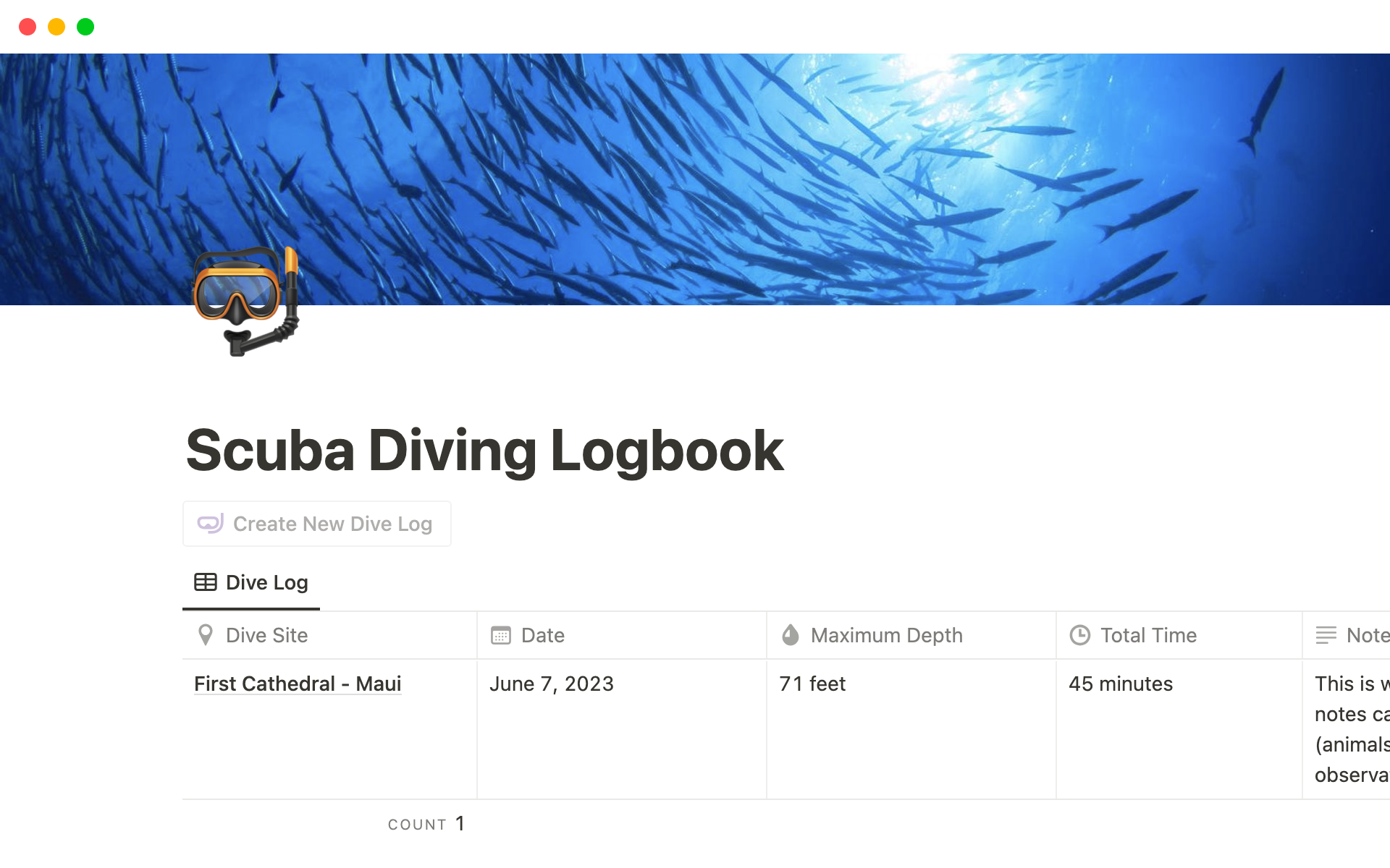 Track and document scuba diving with this Dive Log Notion Template!
