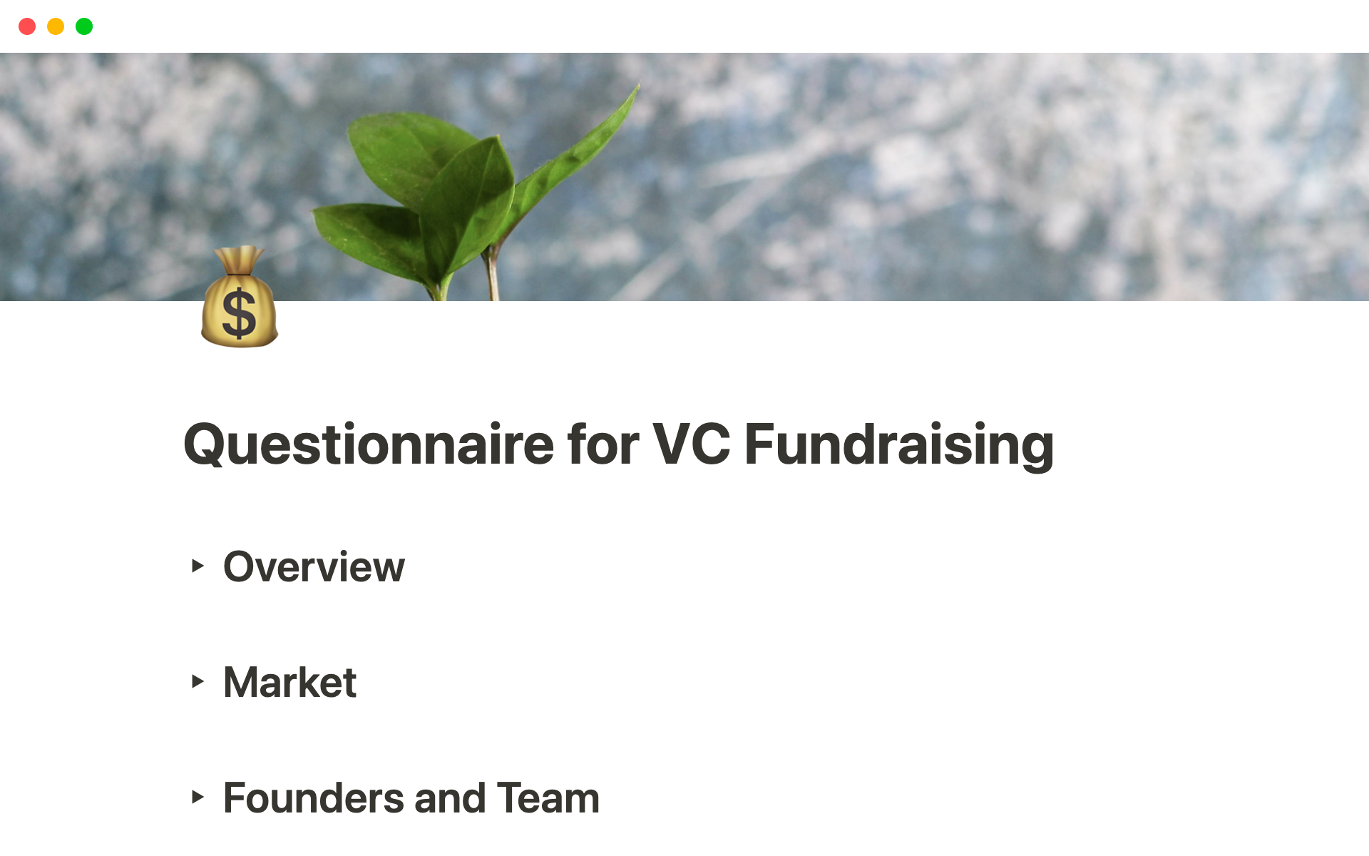 Eine Vorlagenvorschau für Questionnaire for VC Fundraising