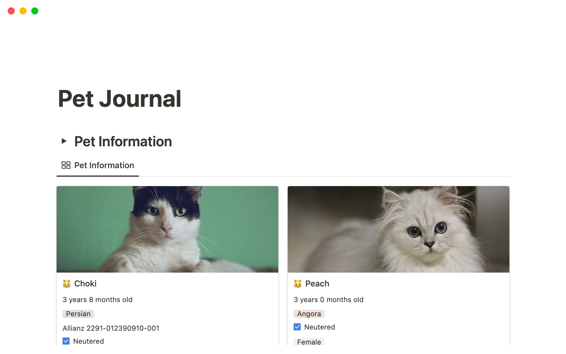 Pet Journal / Tracker Notion Template