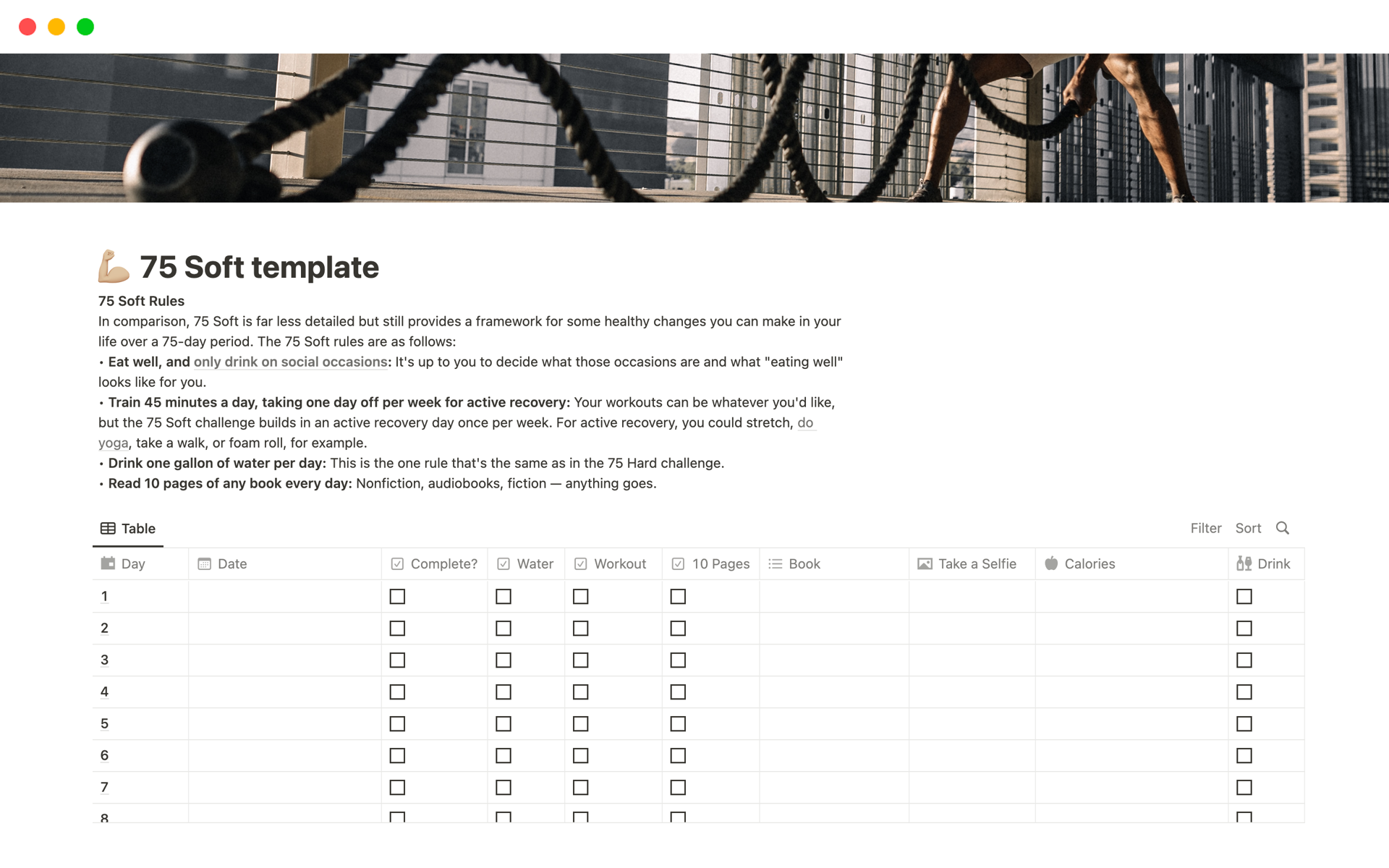 75 Soft Challenge Notion Template