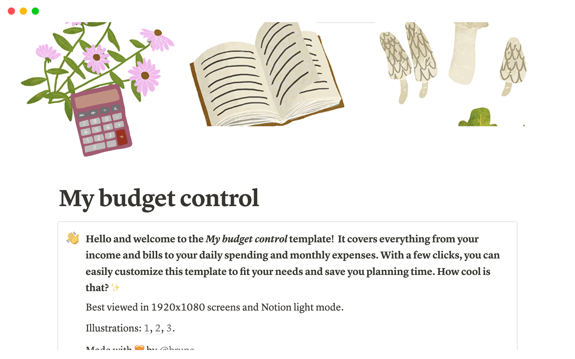 Budget Control | Notion Template