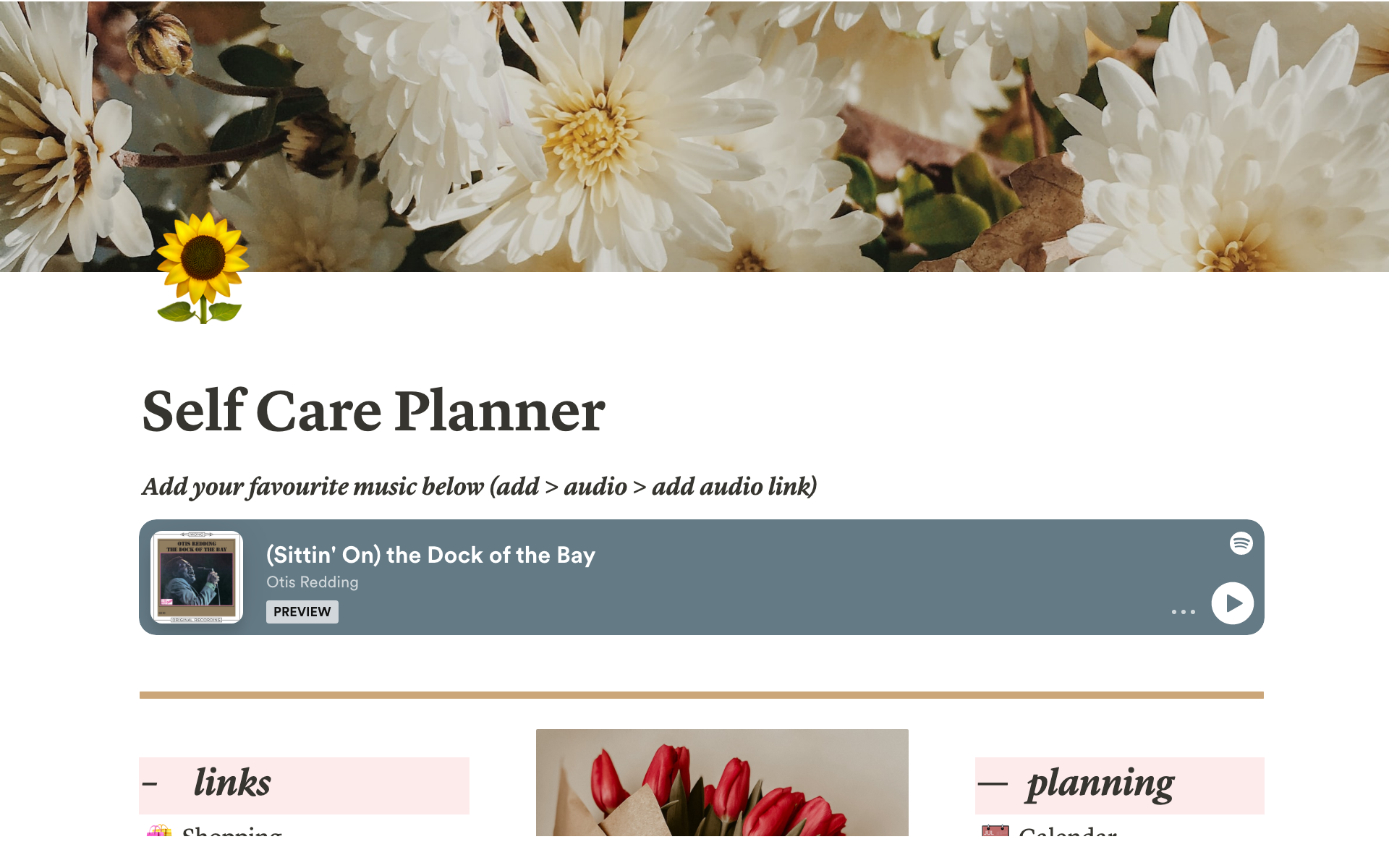 Self Care Wellness Planner Notion Template