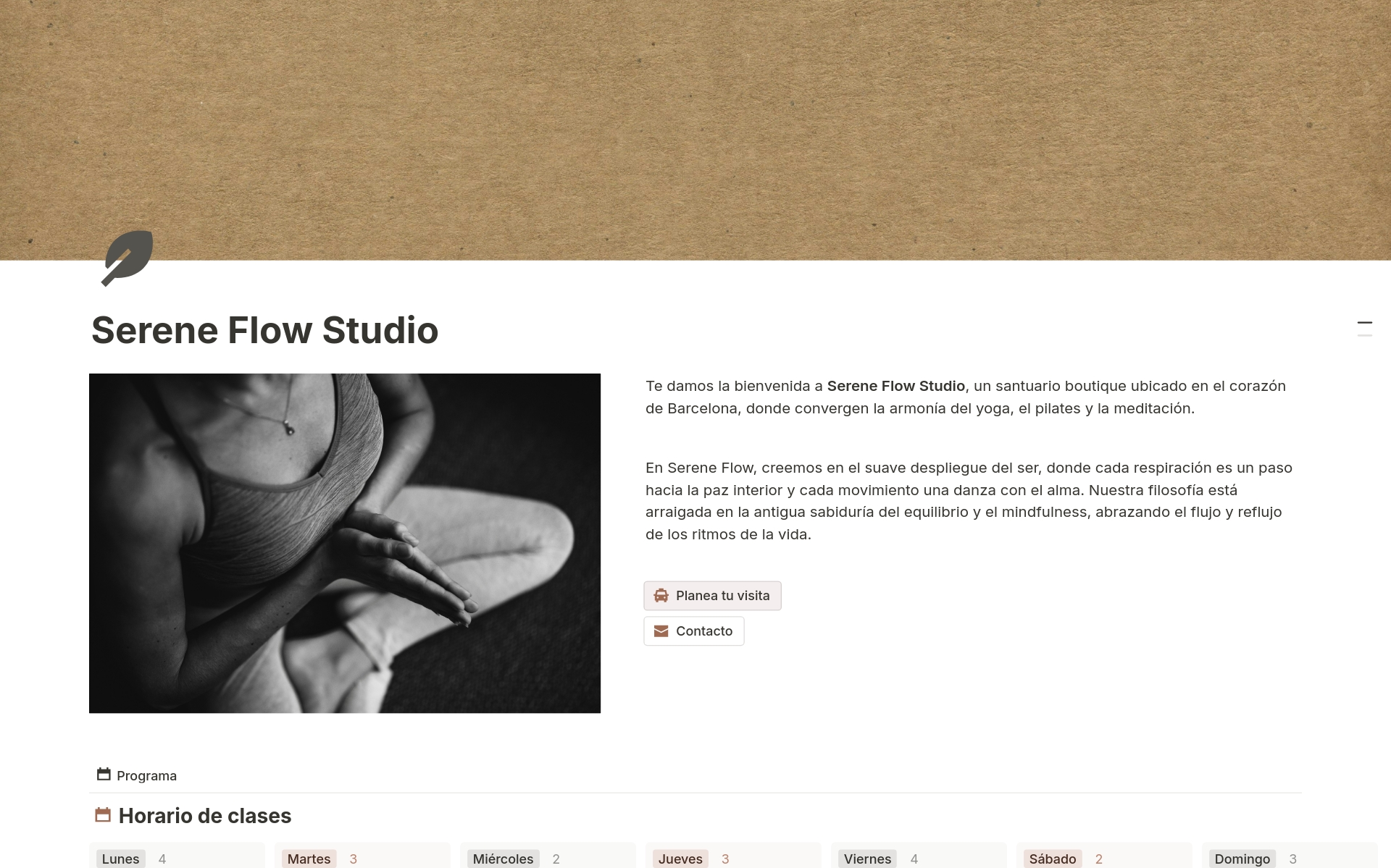 Captura de pantalla de la colección Sitios de Notion Sites elegantes para tu pequeño negocio creada por Notion