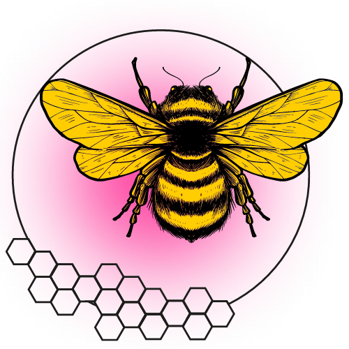 Sweet Bee avatar