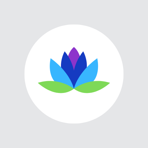 Effortless Bliss | Life Skills & Mindfulness-avatar