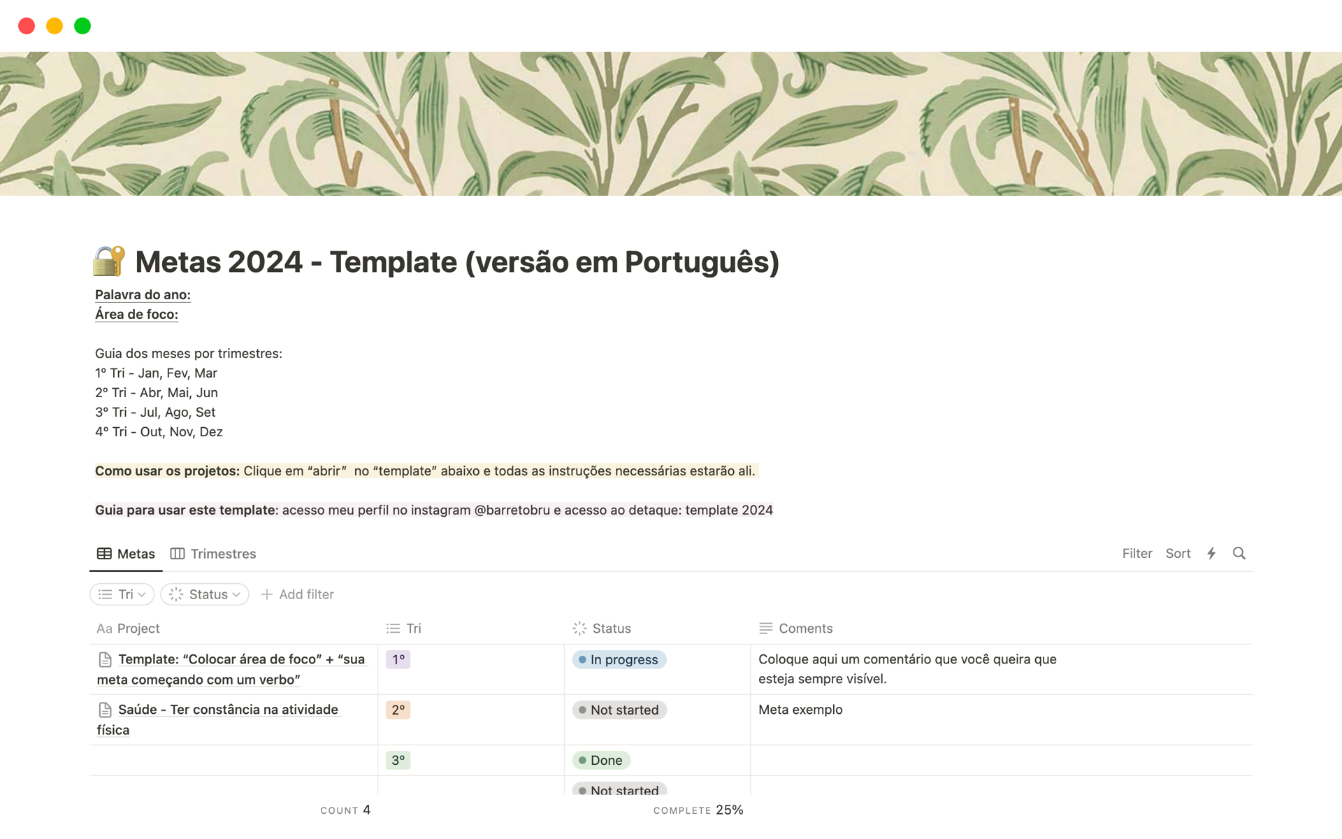 Template Metas 2024 Notion Template