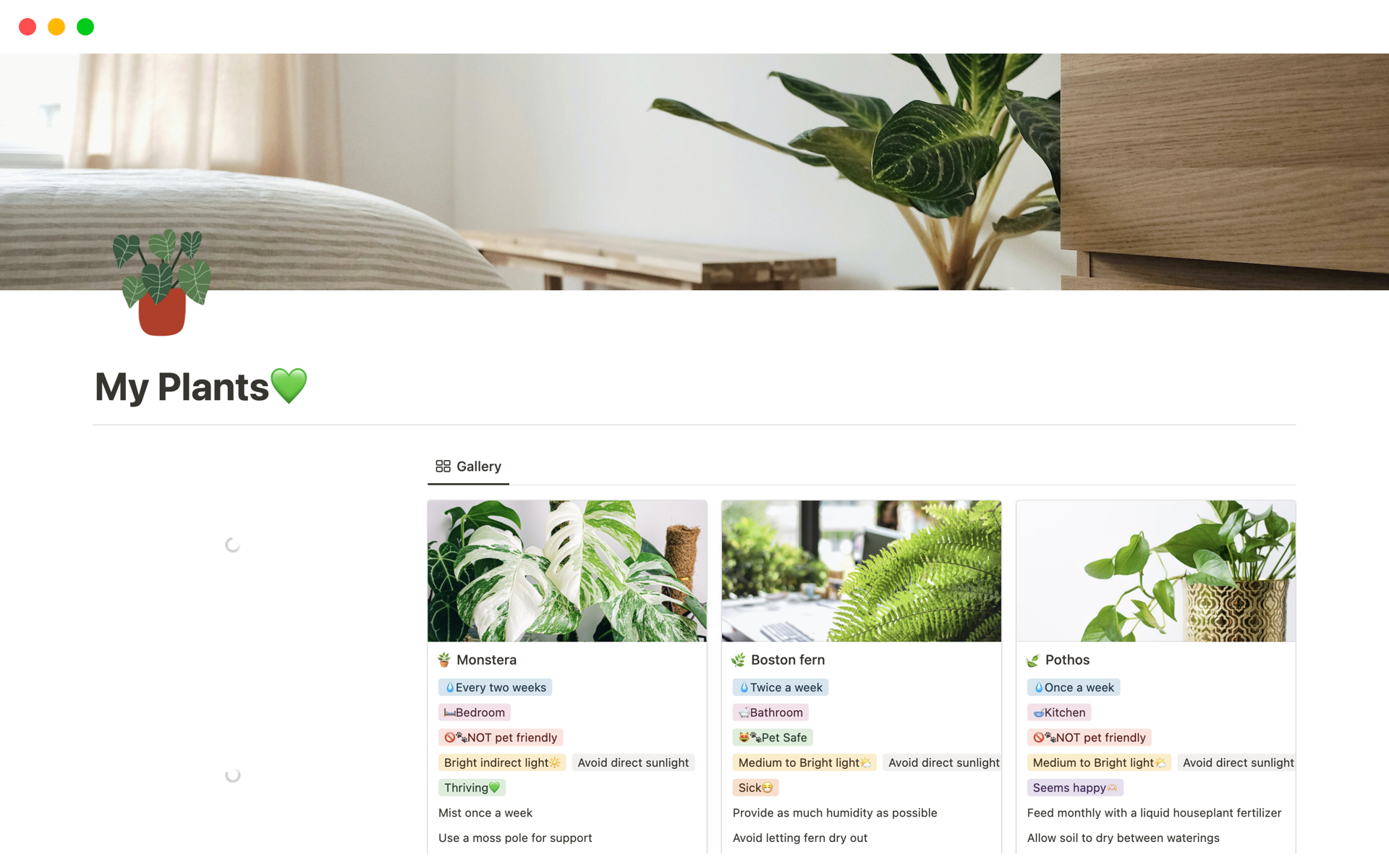 My Plants | Notion Template