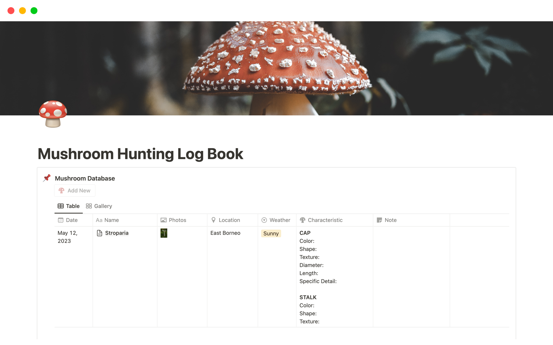 Mushroom Hunting Log Book | Notion Template