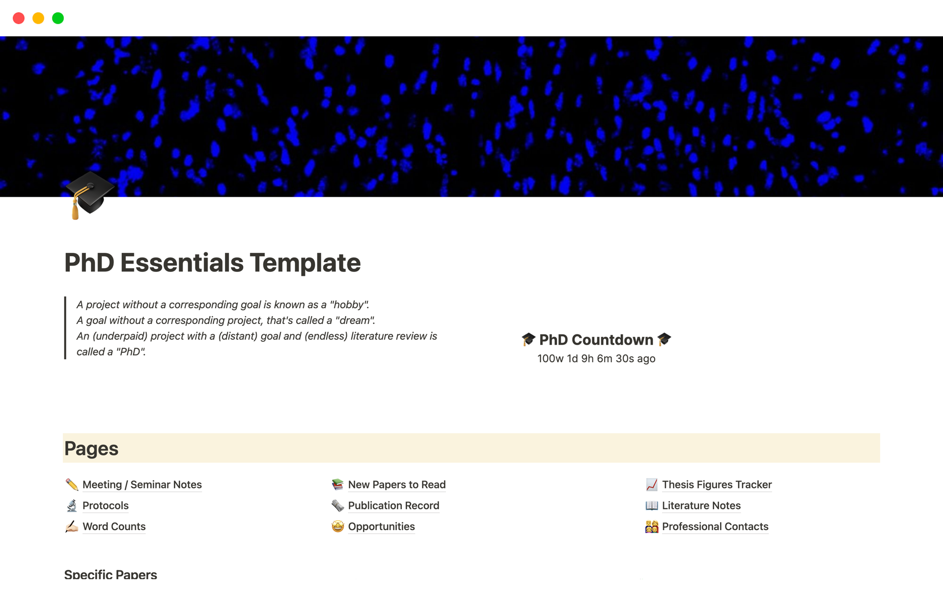 phd-essentials-template-notion-template