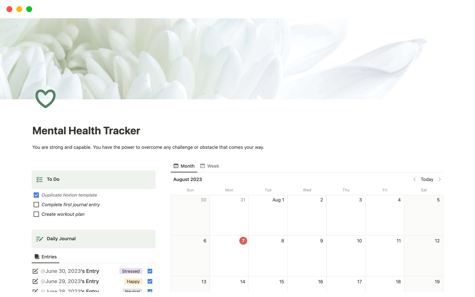 Mental Health Tracker | Notion Template