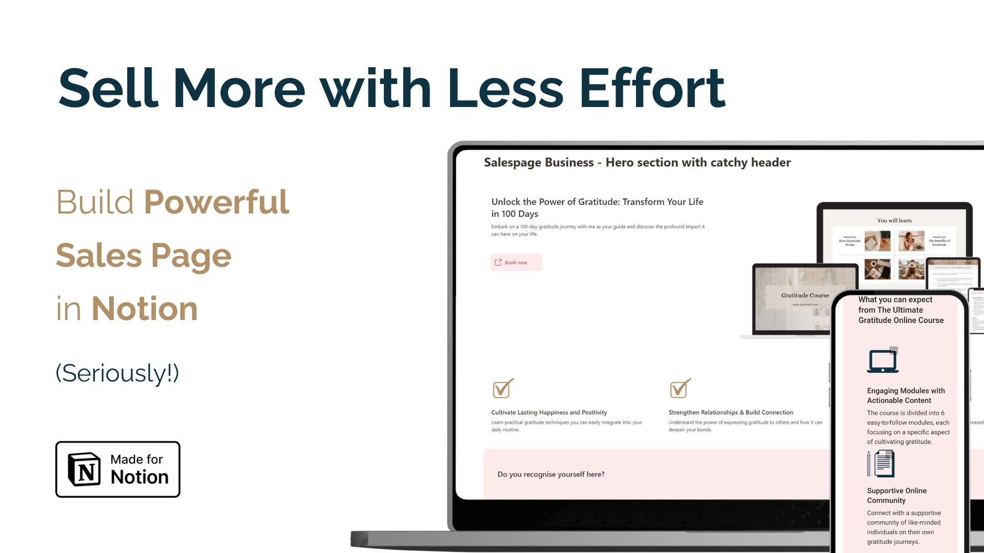 Sell More with Less Effort: Build Powerful Sales Pages Directly in Notion

Ditch your expensive tools and unlock the power of Notion for creating high-converting sales pages.

Design professional sales pages in minutes with this drag-and-drop Notion template.

No coding required.