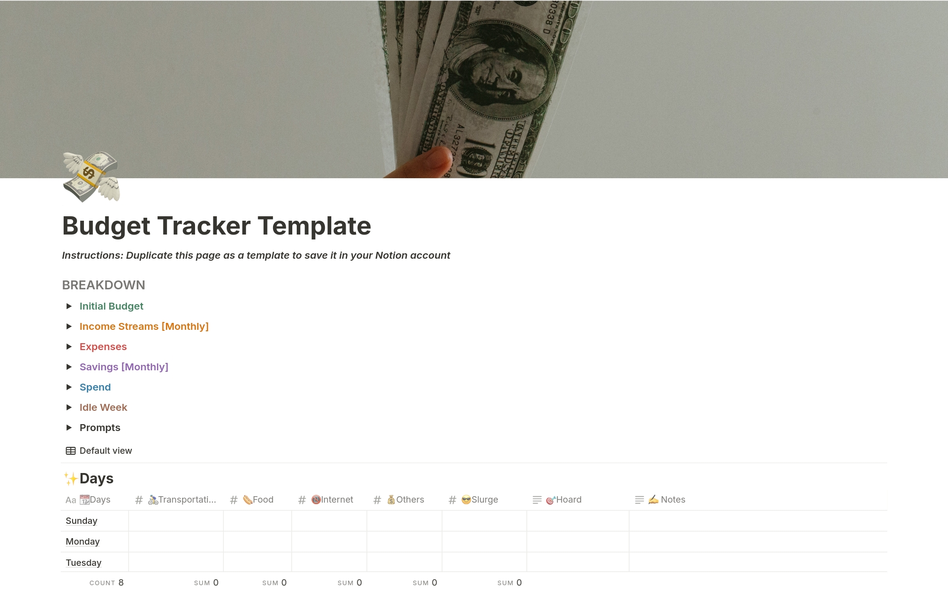 A template preview for Monthly Budget Tracker 