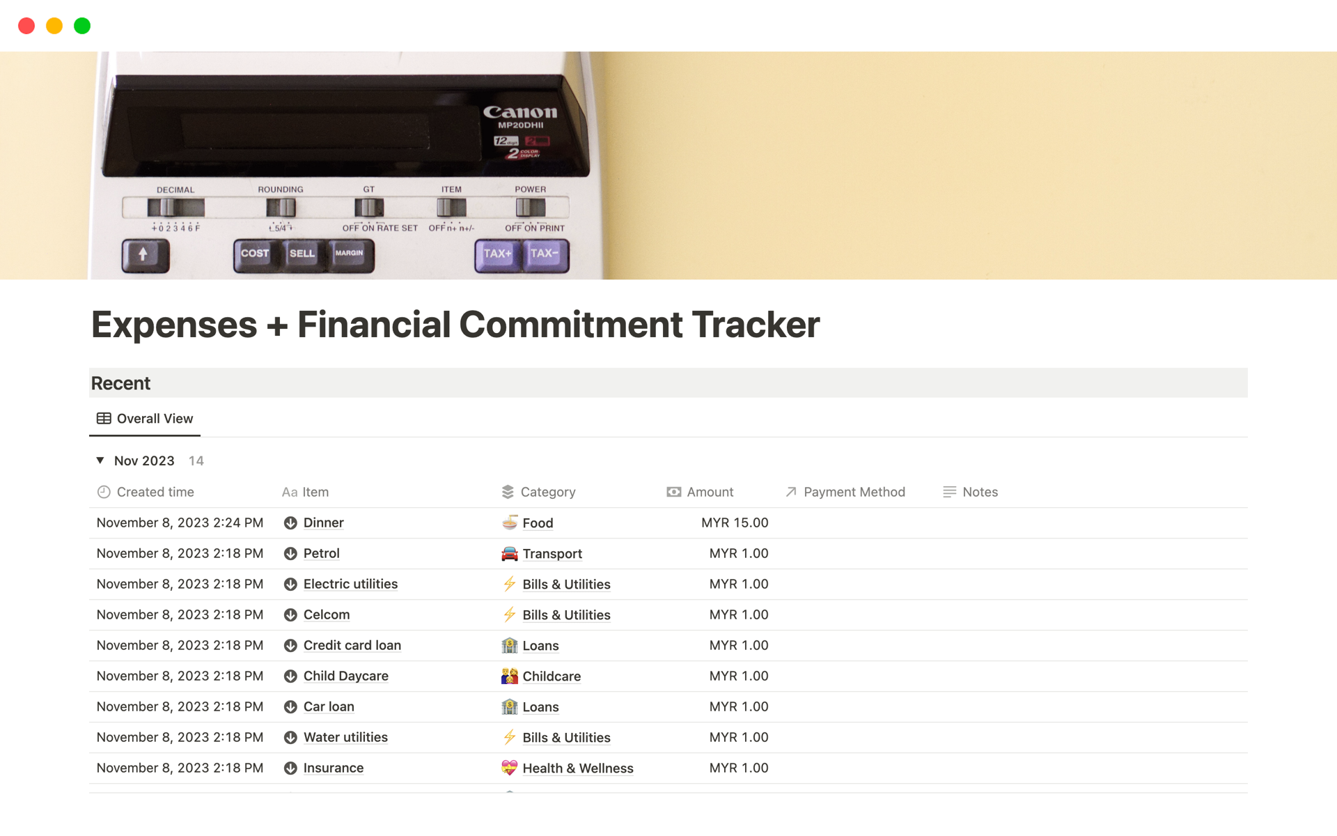 En forhåndsvisning av mal for Expenses + Financial Commitment Tracker