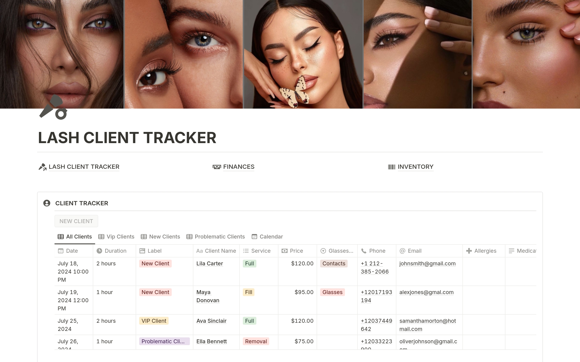 A template preview for Lash Client Tracker