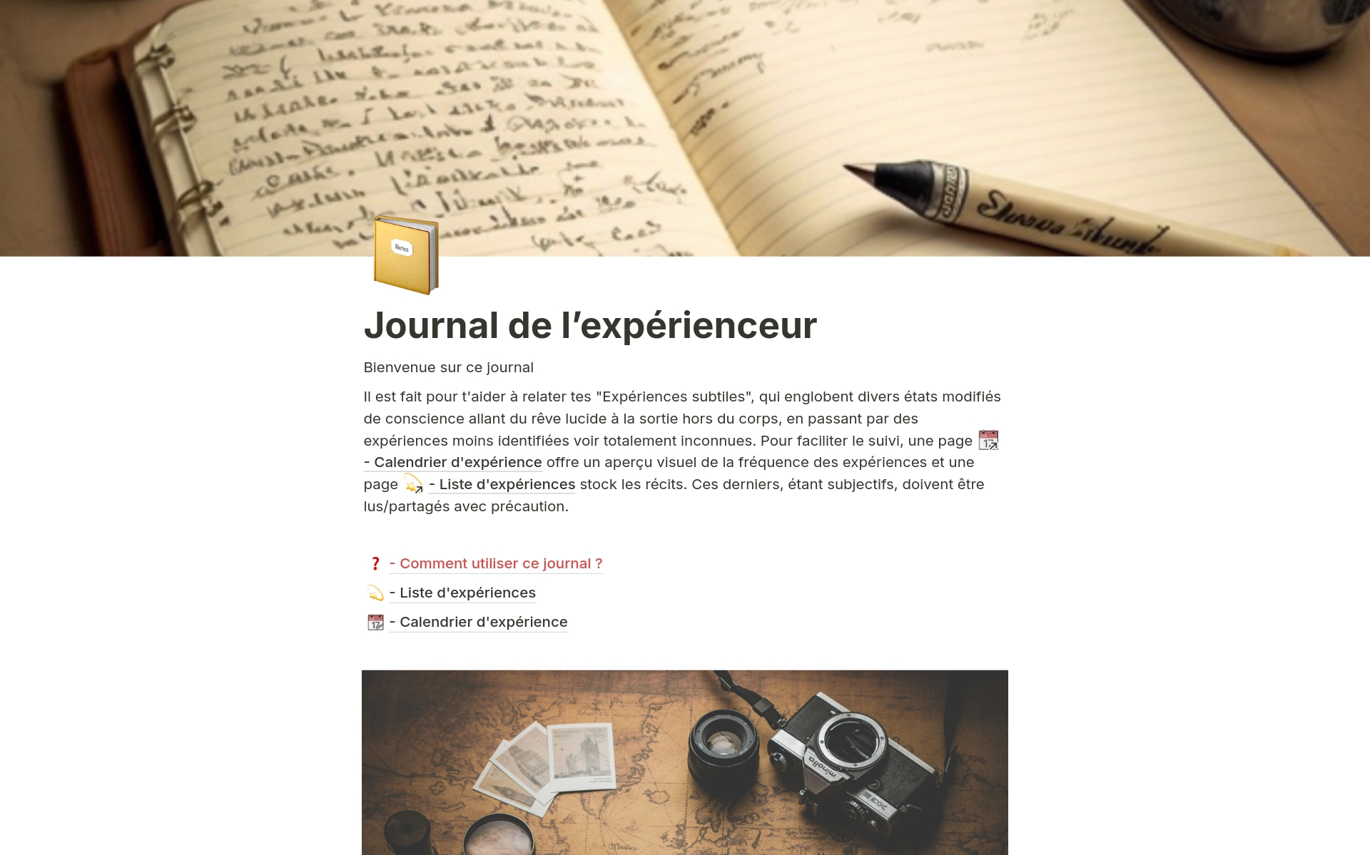 A template preview for Journal de l’expérienceur