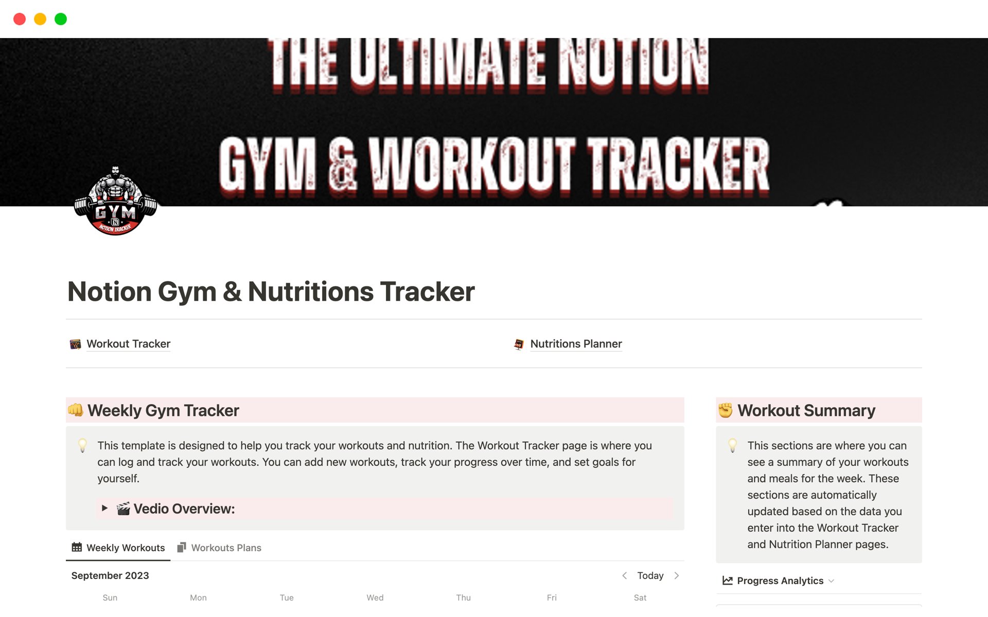 En förhandsgranskning av mallen för Gym & Nutritions Tracker