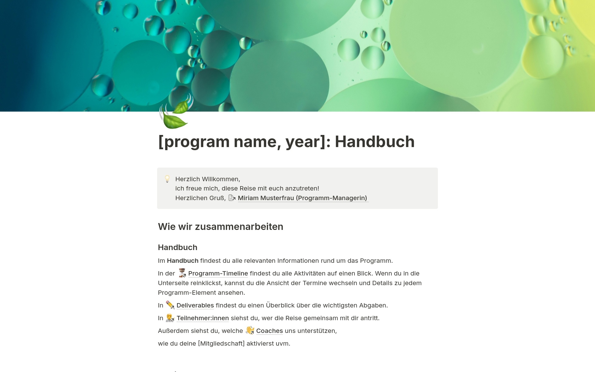 Vista previa de plantilla para Startup-Programm Teilnehmer:innen Handbuch 