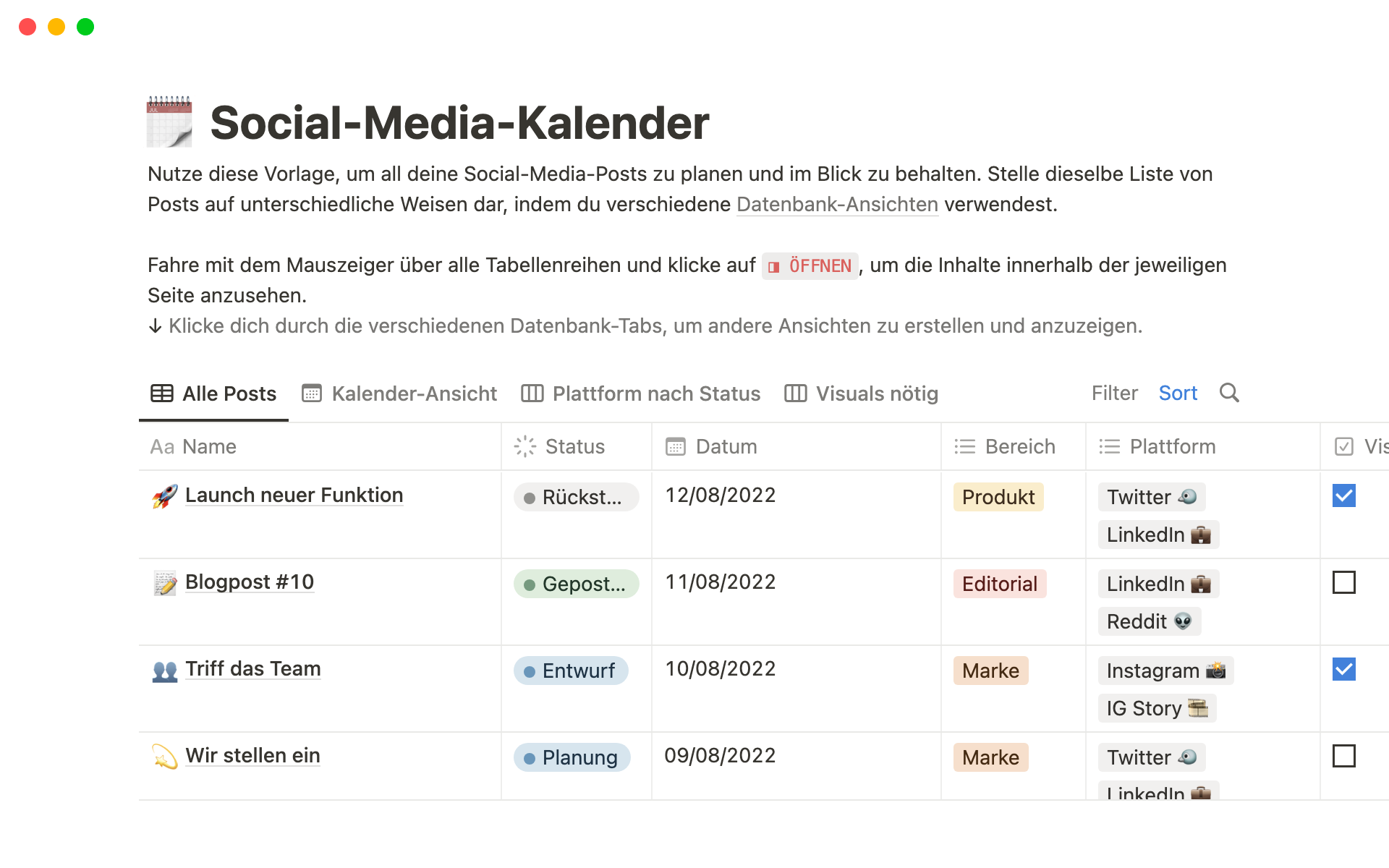 SocialMediaKalender NotionVorlage