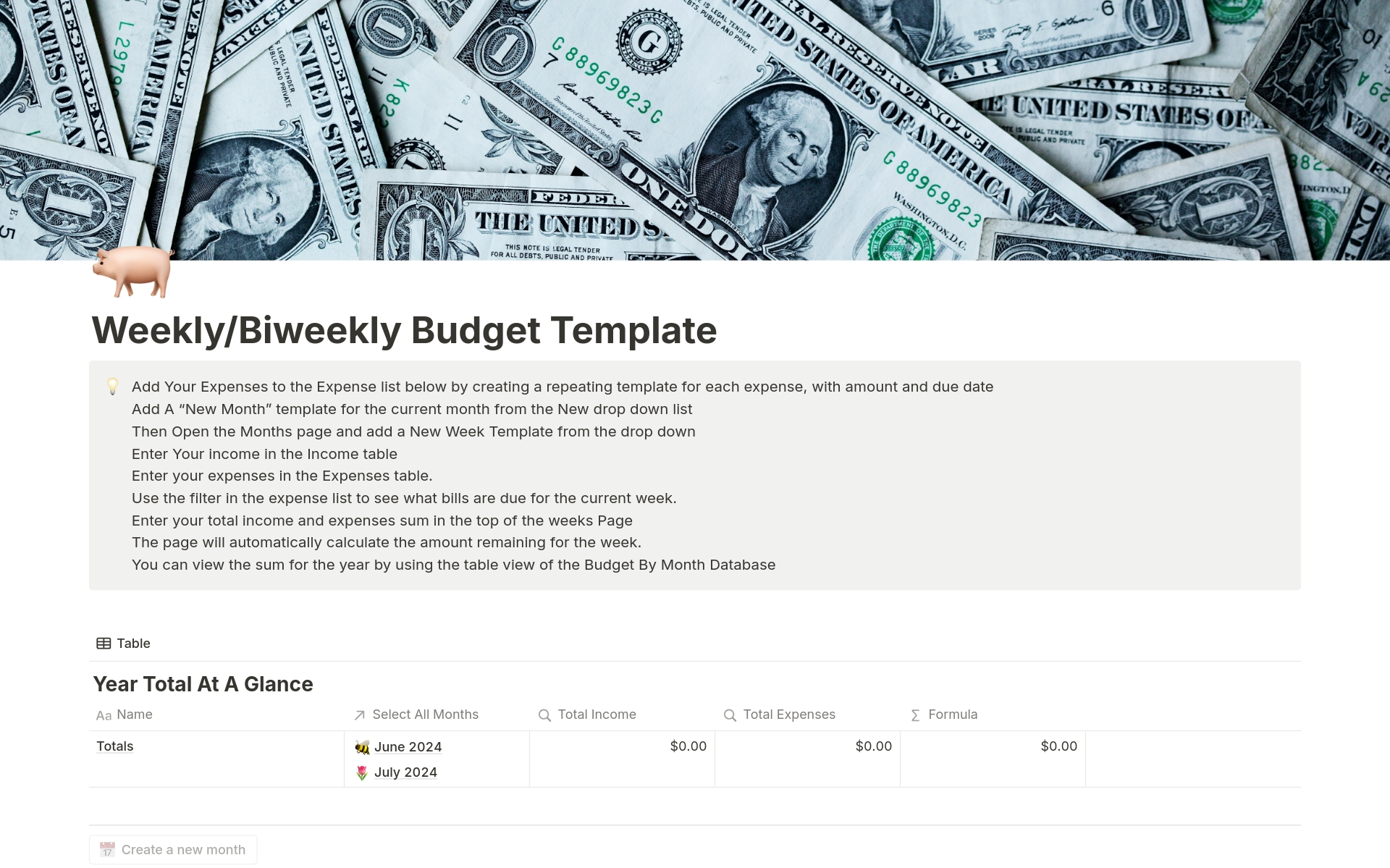A template preview for Weekly/Biweekly Budget