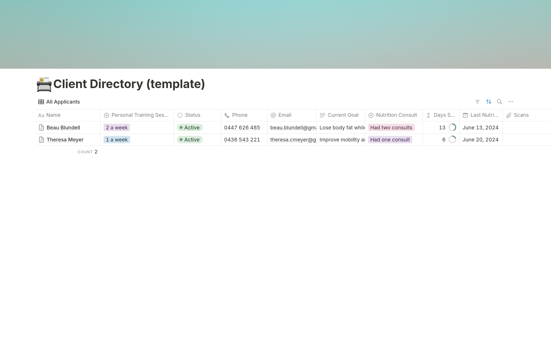Vista previa de plantilla para Client Directory 