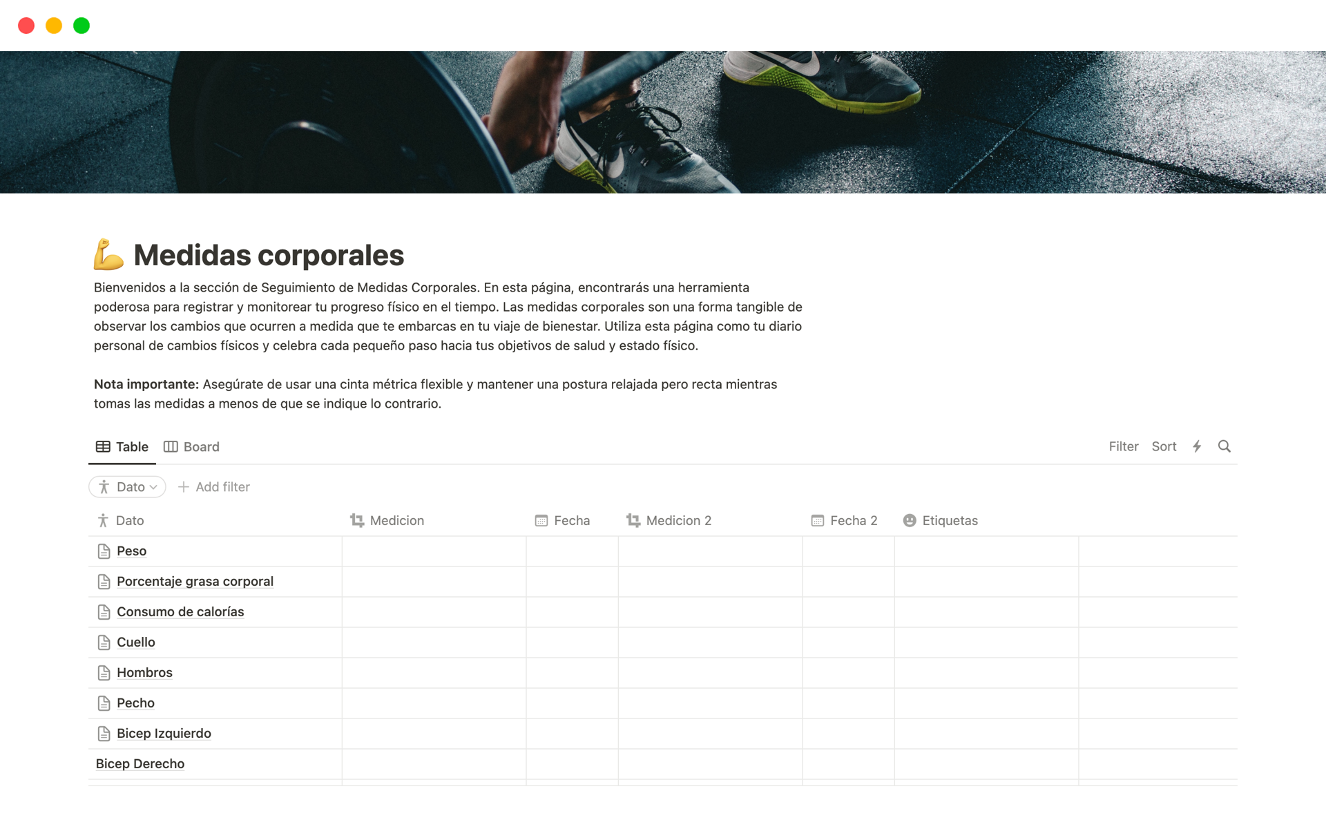 A template preview for Medidas corporales
