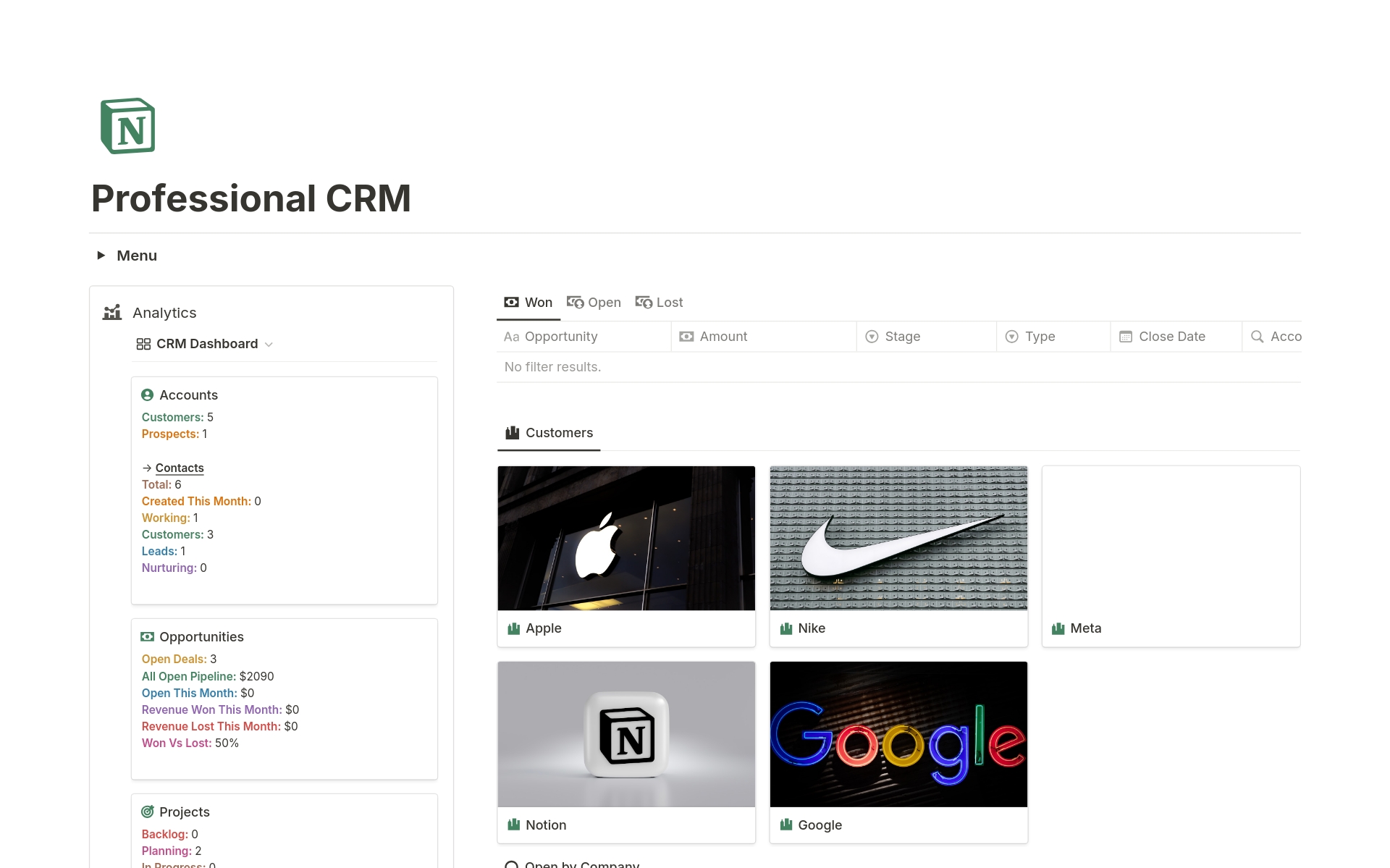 A template preview for Professional CRM