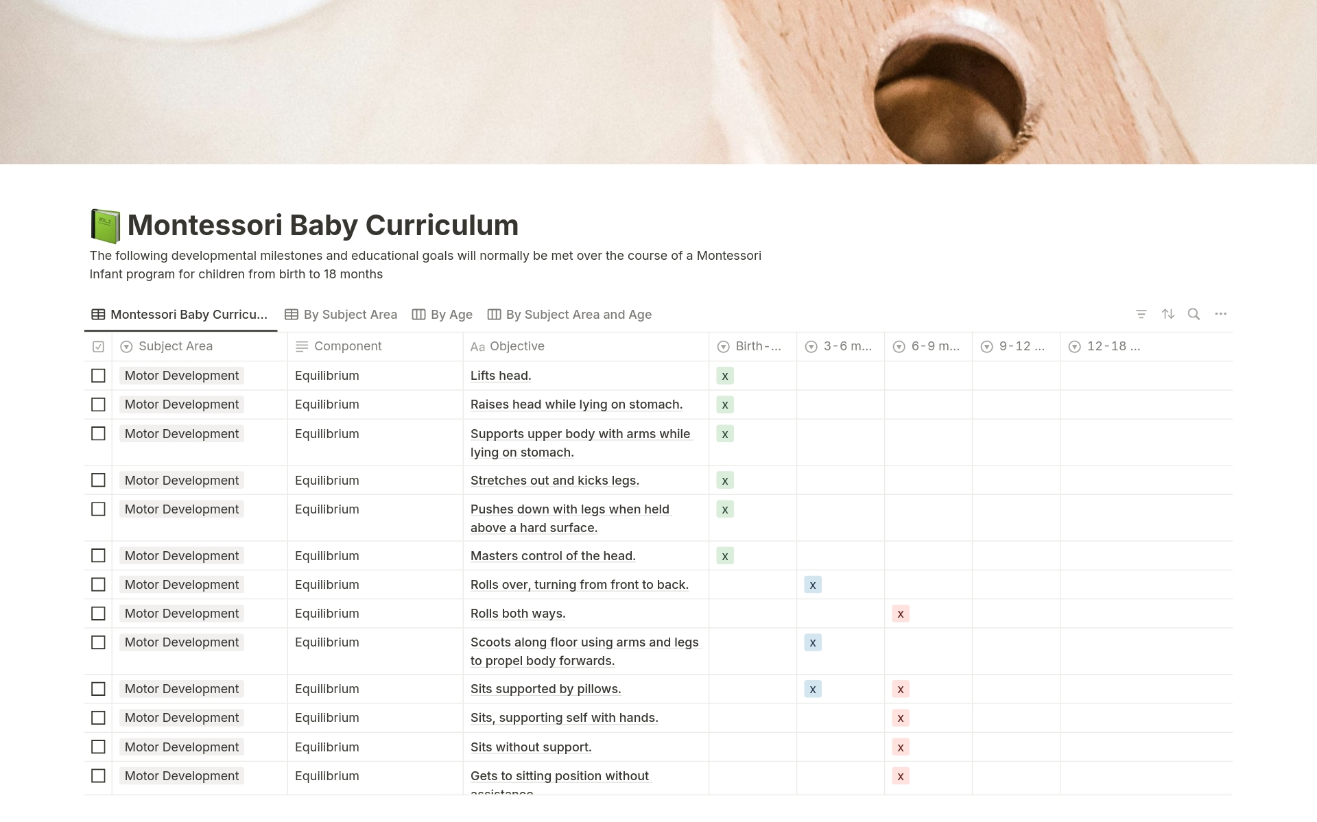 En förhandsgranskning av mallen för Montessori Baby Curriculum