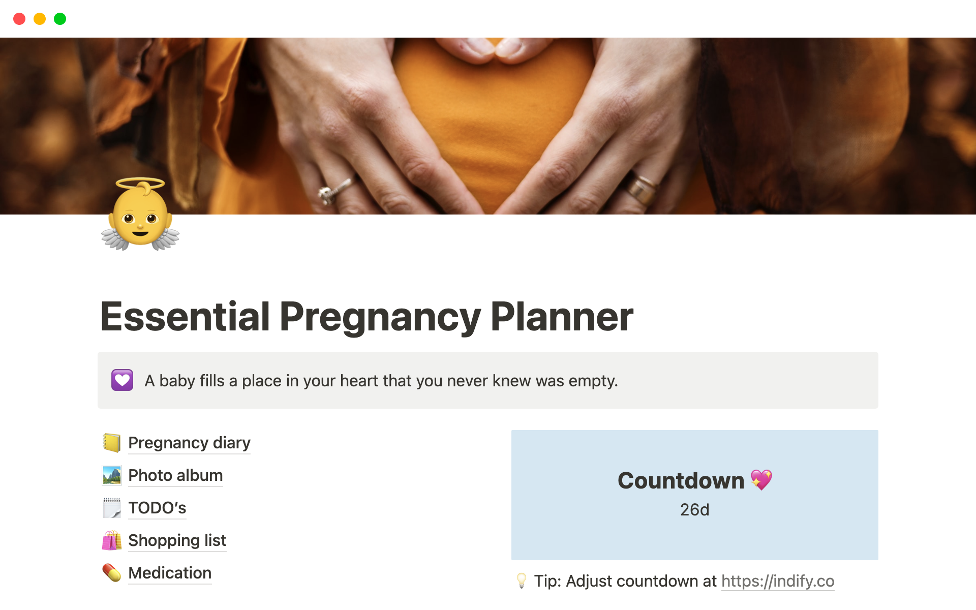 En förhandsgranskning av mallen för Essential Pregnancy Planner