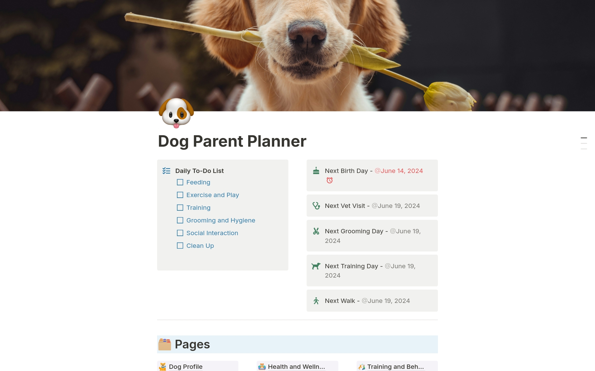 Elevate your dog care routine with our comprehensive Notion template, designed to organize every aspect of your dog's life from health and training to travel and expenses. Perfect for both new and seasoned dog owners.