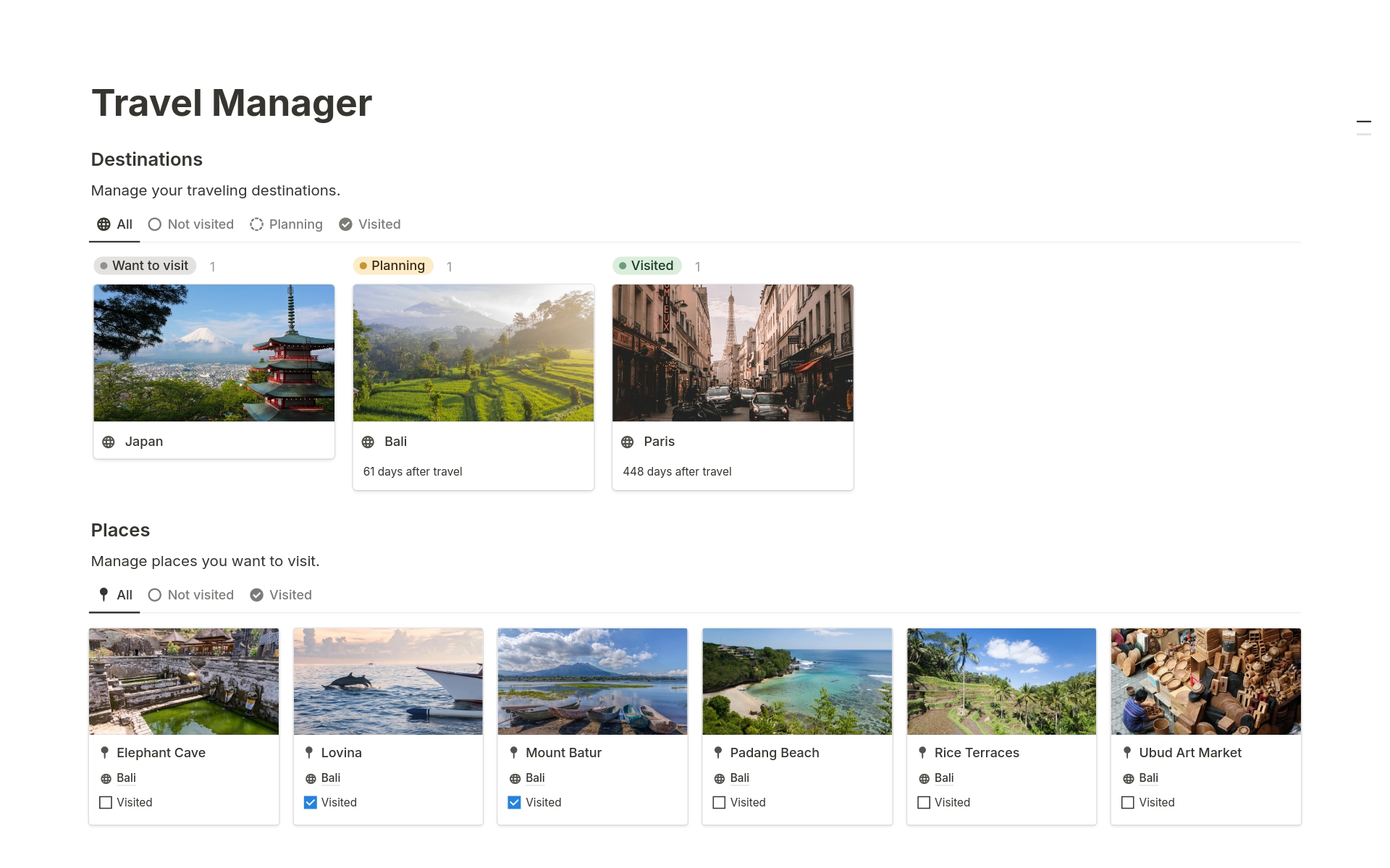 A template preview for Travel Manager