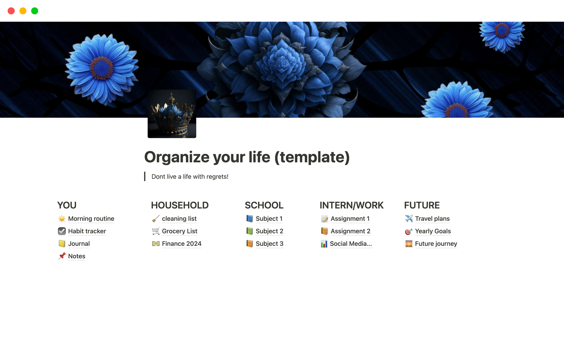 A template preview for Organize your life