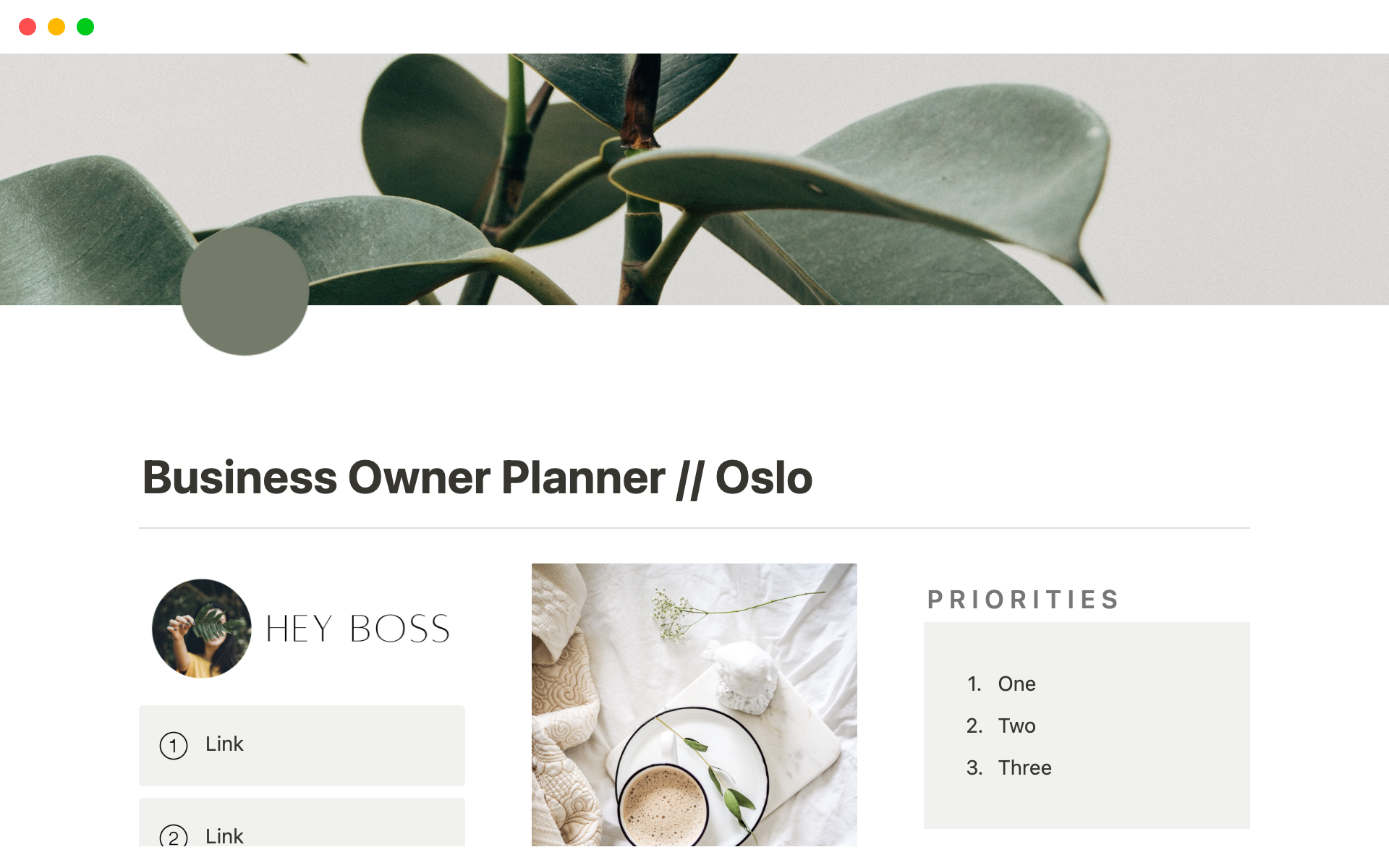 Vista previa de una plantilla para Business Owner Planner