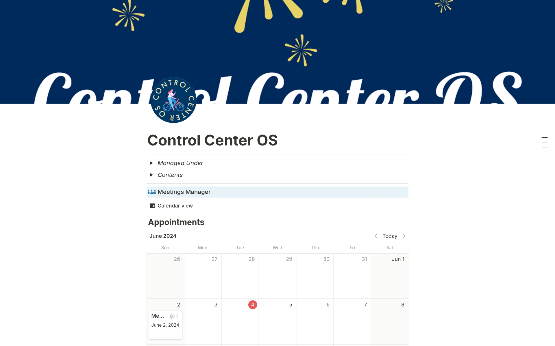 A template preview for Control Center OS 