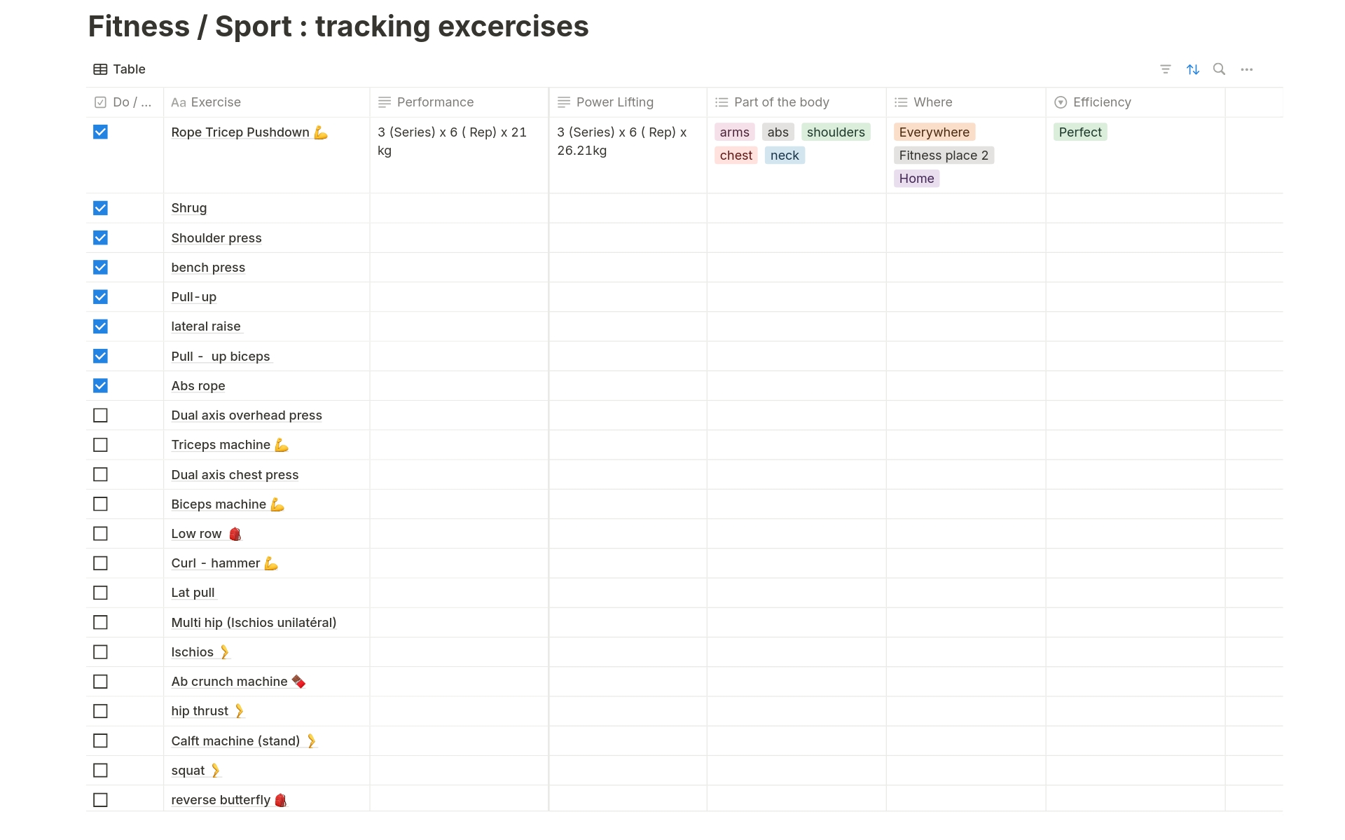 A template preview for Fitness / Sport : tracking excercises