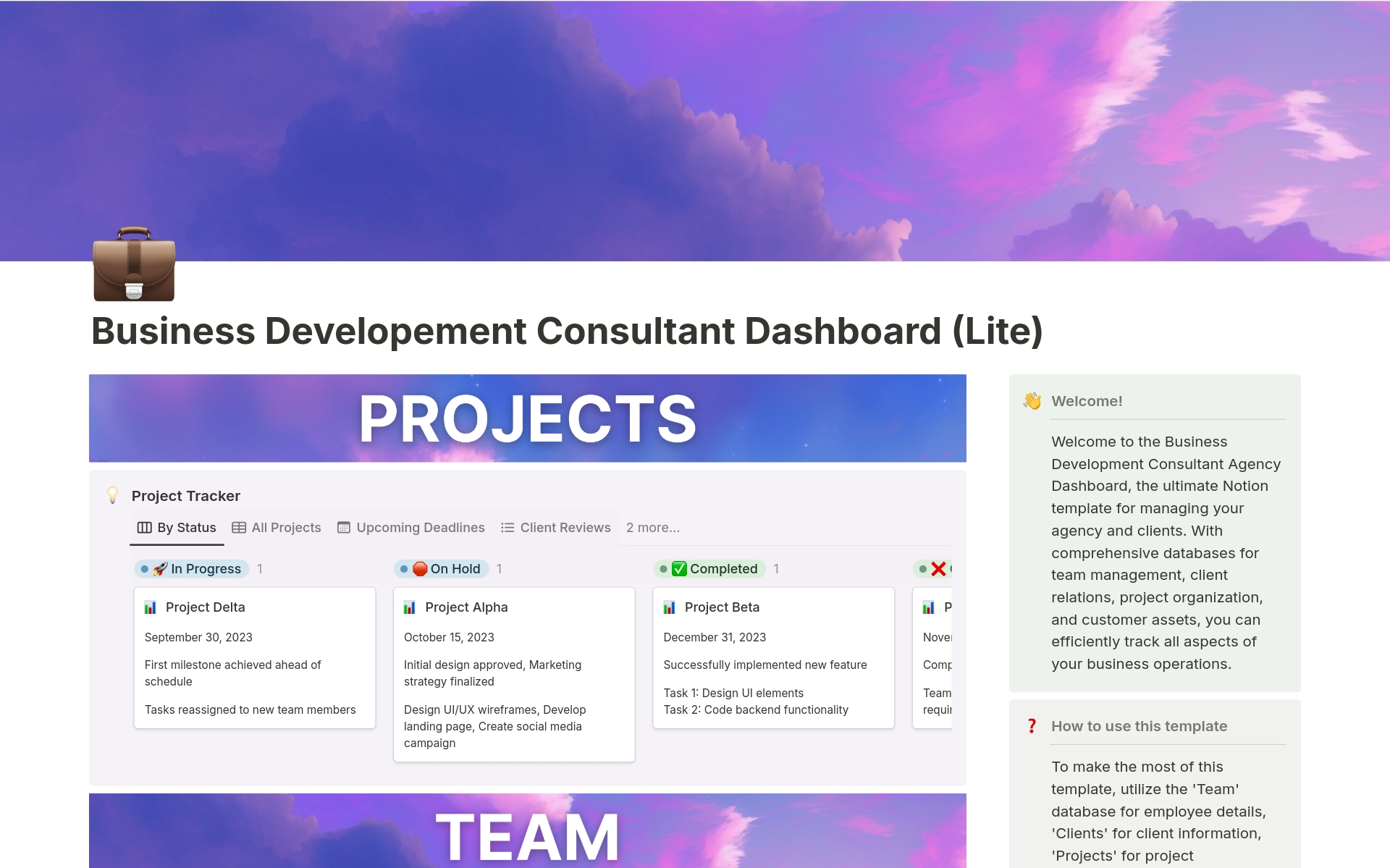 Business Developement Consultant Dashboard (Lite)님의 템플릿 미리보기