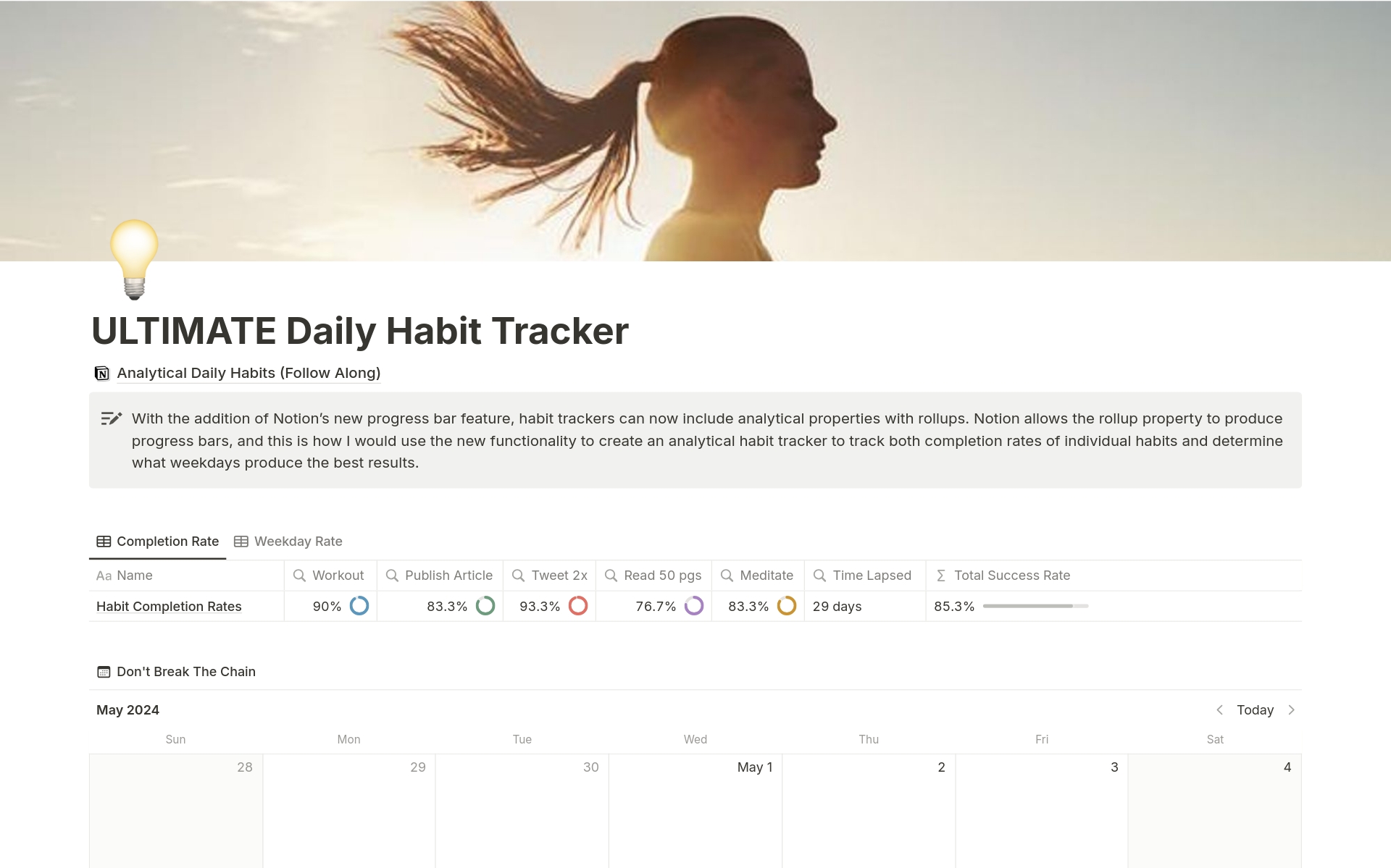 Uma prévia do modelo para ULTIMATE Daily Habit Tracker