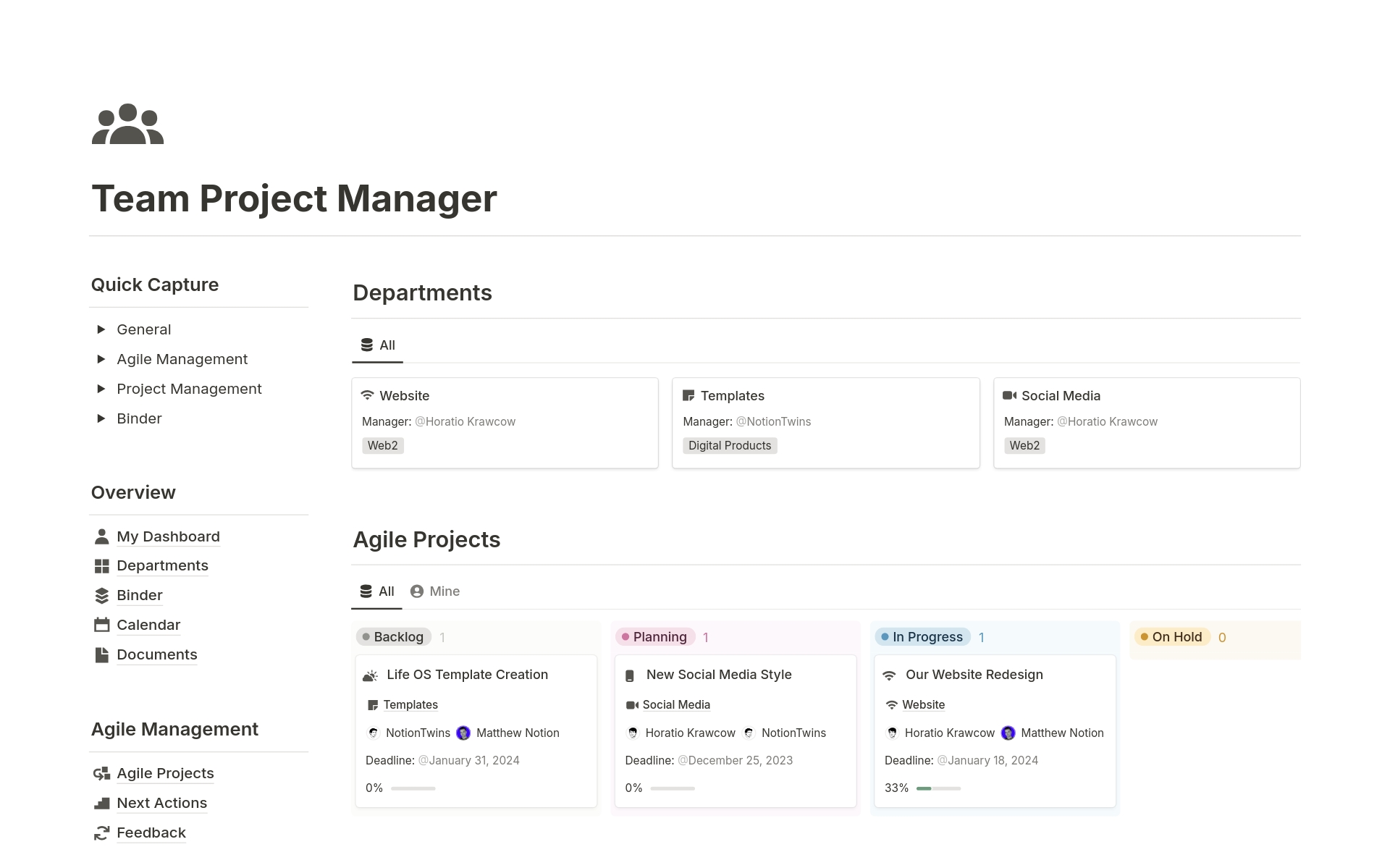 En förhandsgranskning av mallen för Team Project Manager