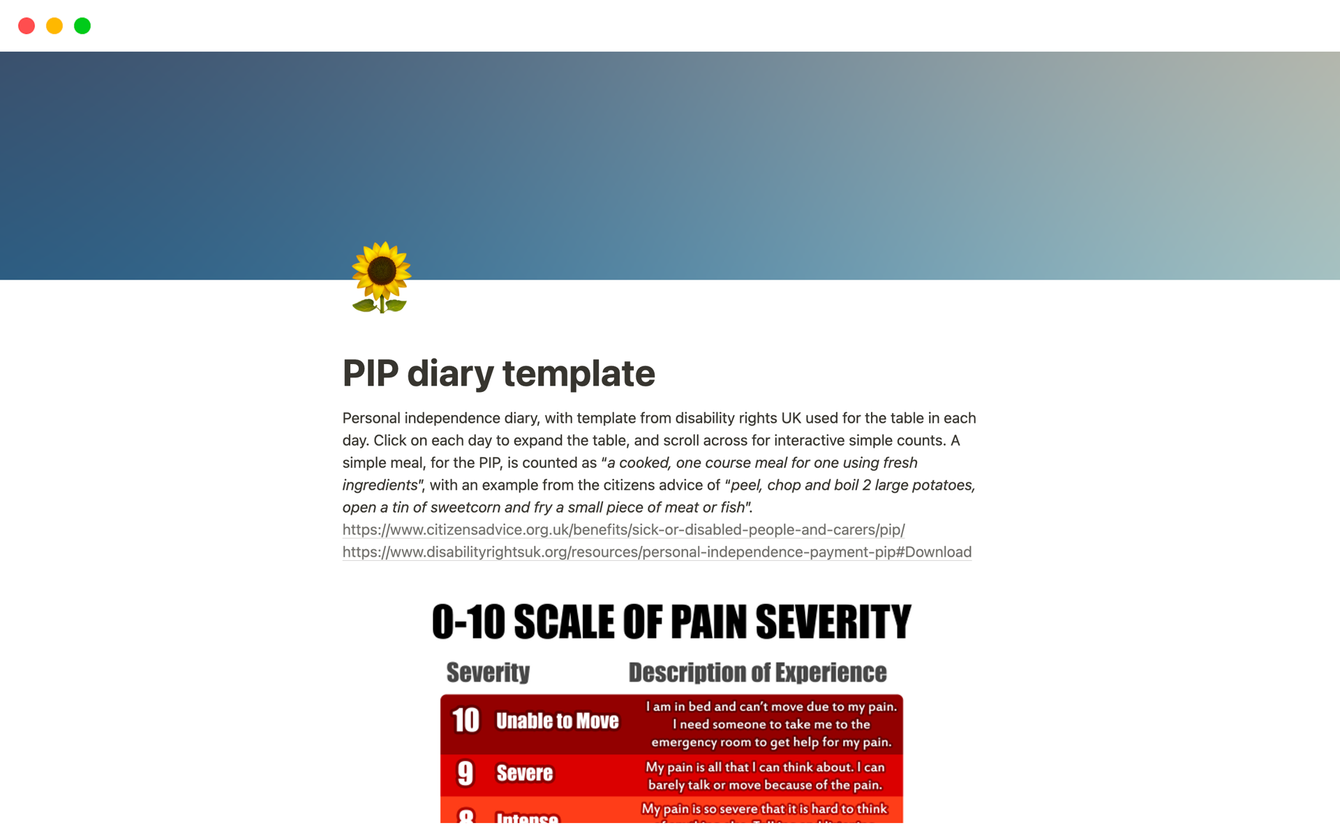 A template preview for PIP diary