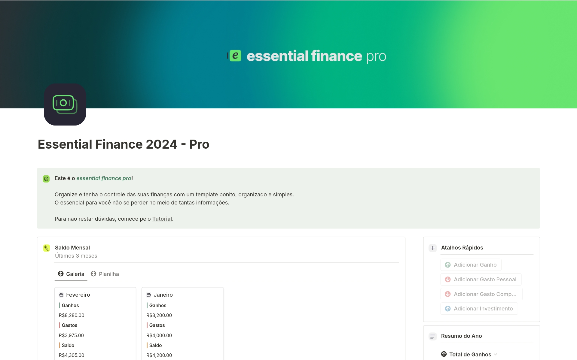 Eine Vorlagenvorschau für Essential Finance 2024 - Pro
