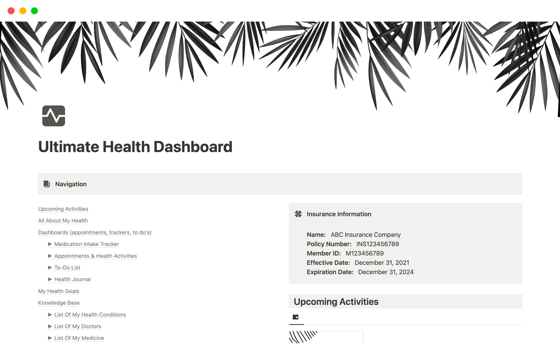 Vista previa de plantilla para Ultimate Health Dashboard