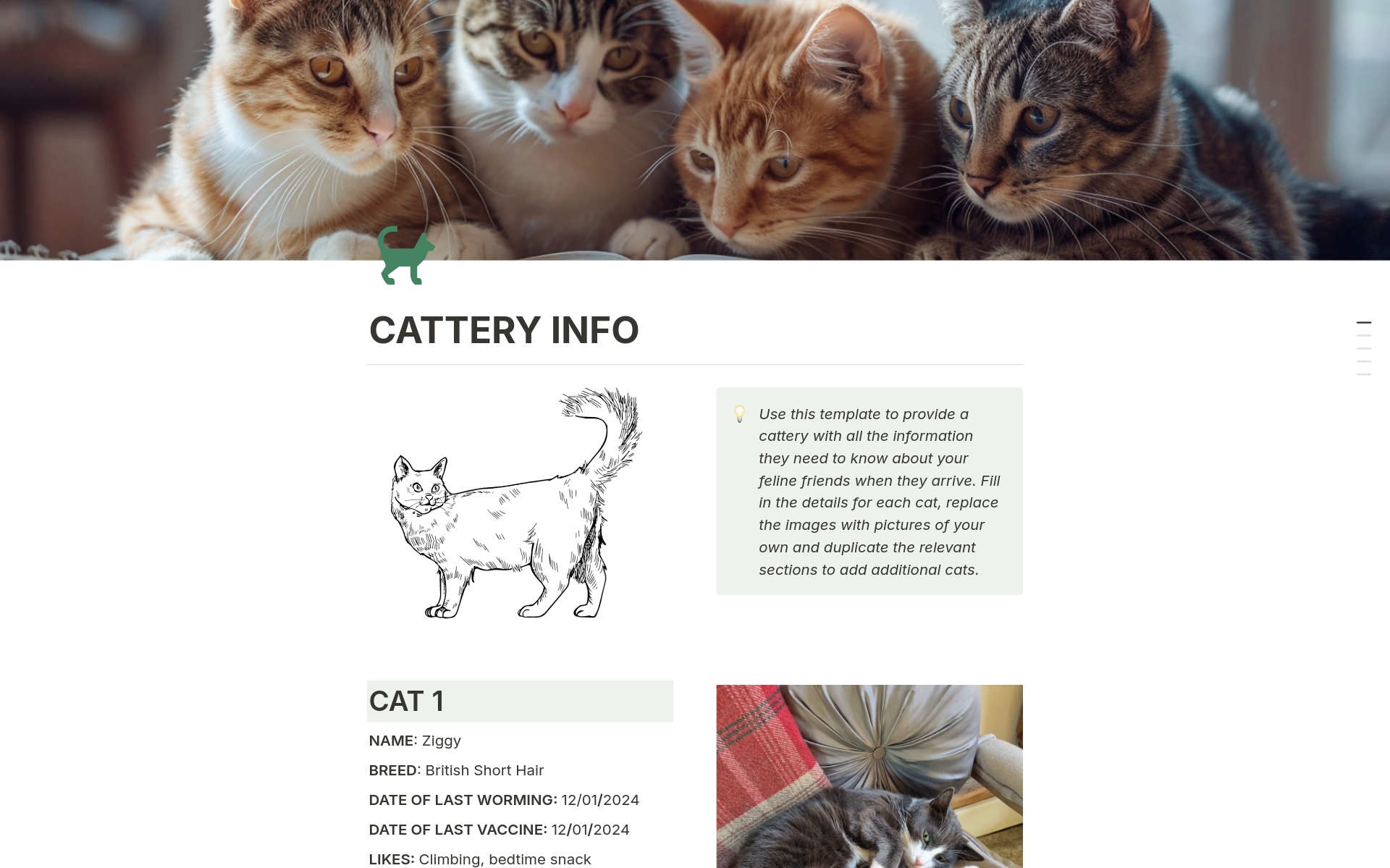 A simple page to capture all your feline friend's information ready for their next cattery stay! 
