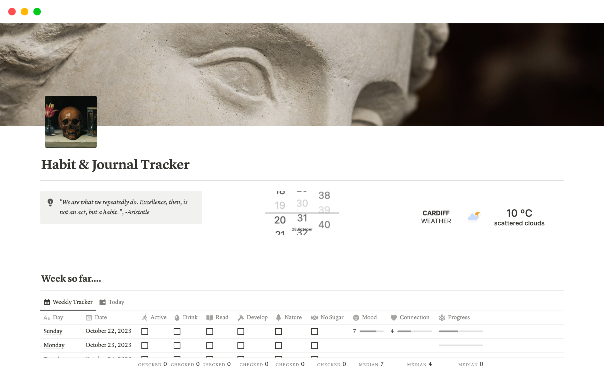 Vista previa de plantilla para Habit & Journal Tracker