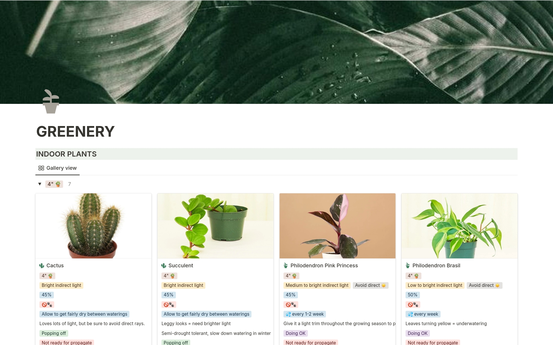 Transform your indoor plant care routine with our meticulously designed Indoor Plants Inventory Notion Template. 