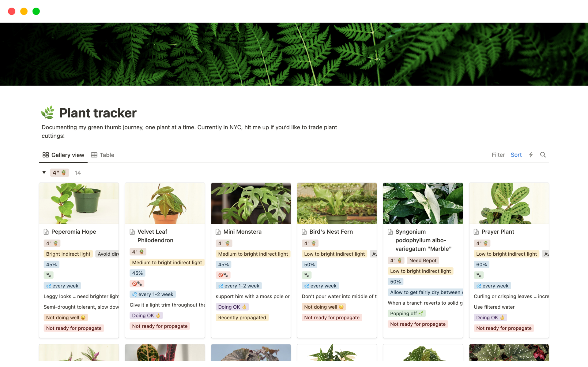 A template preview for Plant health tracker
