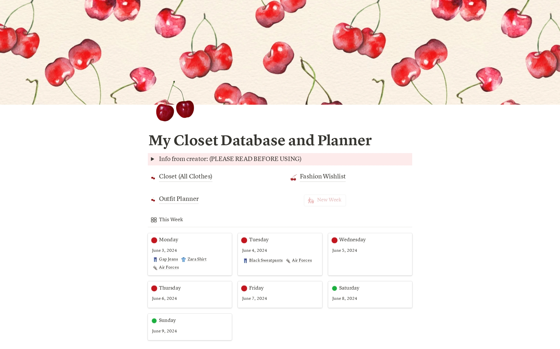 A template preview for Closet Database and Outfit Planner