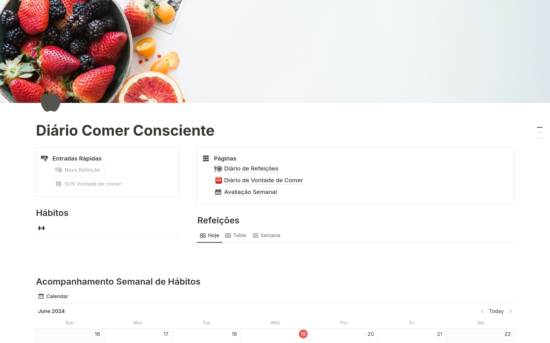 En förhandsgranskning av mallen för Diário Comer Consciente + Rastreador de Hábitos