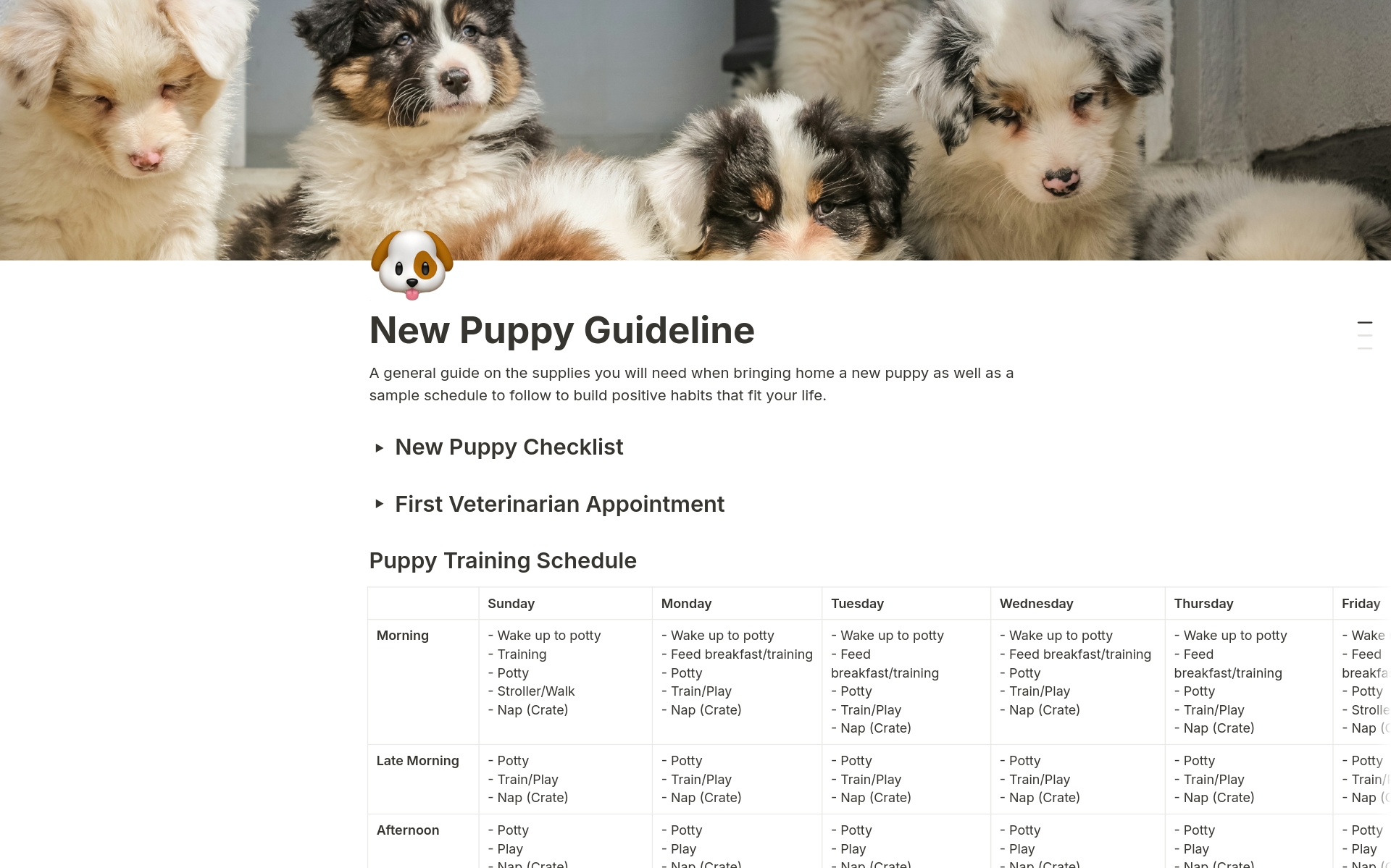 En forhåndsvisning av mal for New Puppy Guideline